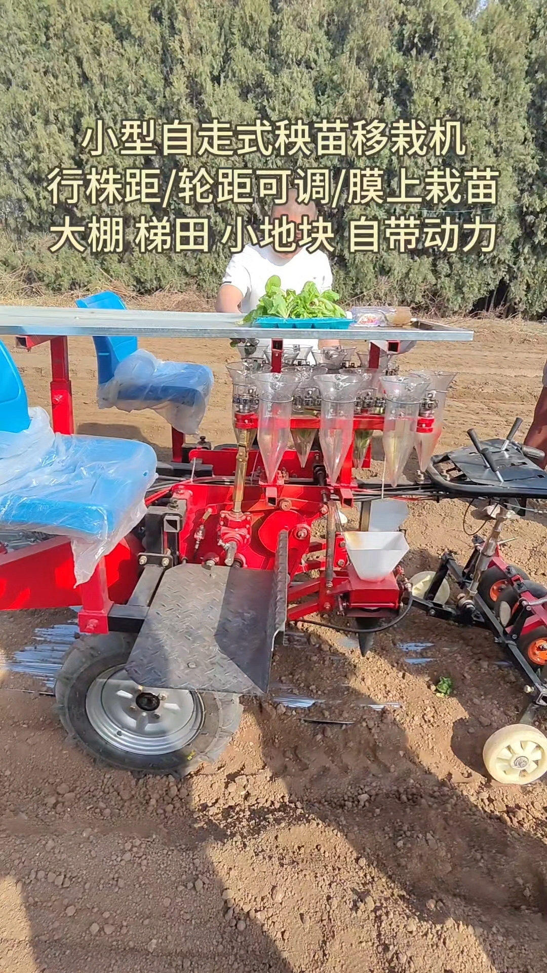 小型自走式秧苗移栽机,轻便效率高