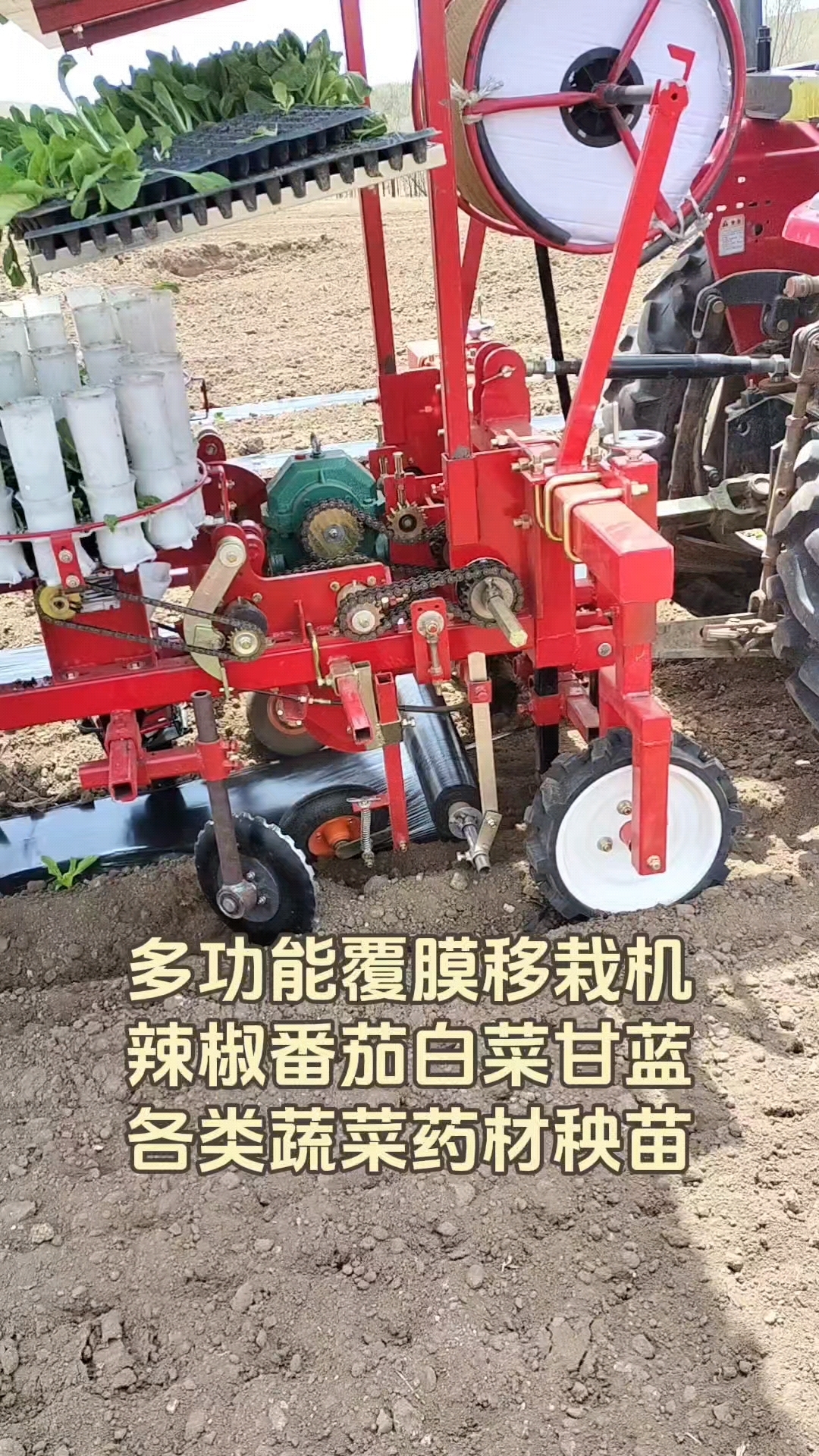 移栽秧苗再也不用弯腰驼背了,新款移栽机栽苗覆膜施肥浇水多功能