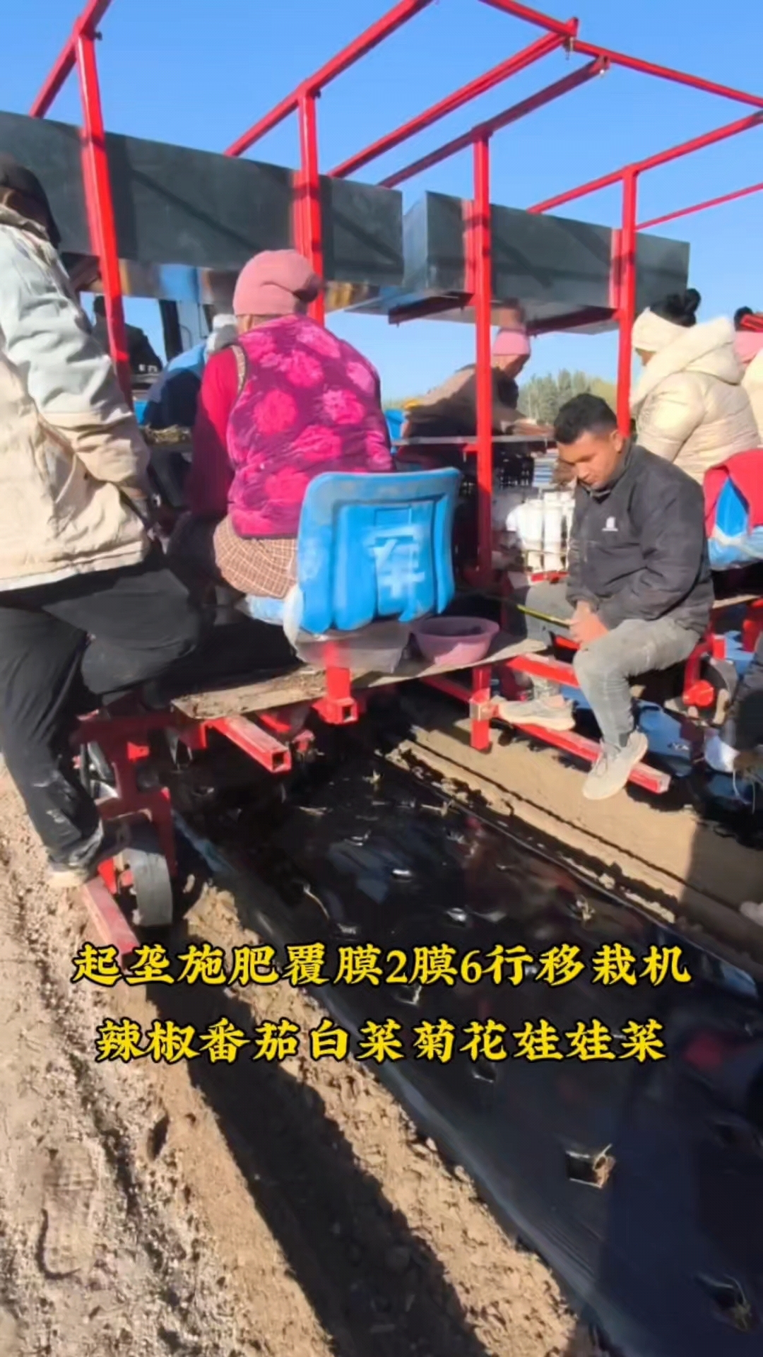 多功能蔬菜药材秧苗移栽机,一次2膜栽苗6行,行株距可调