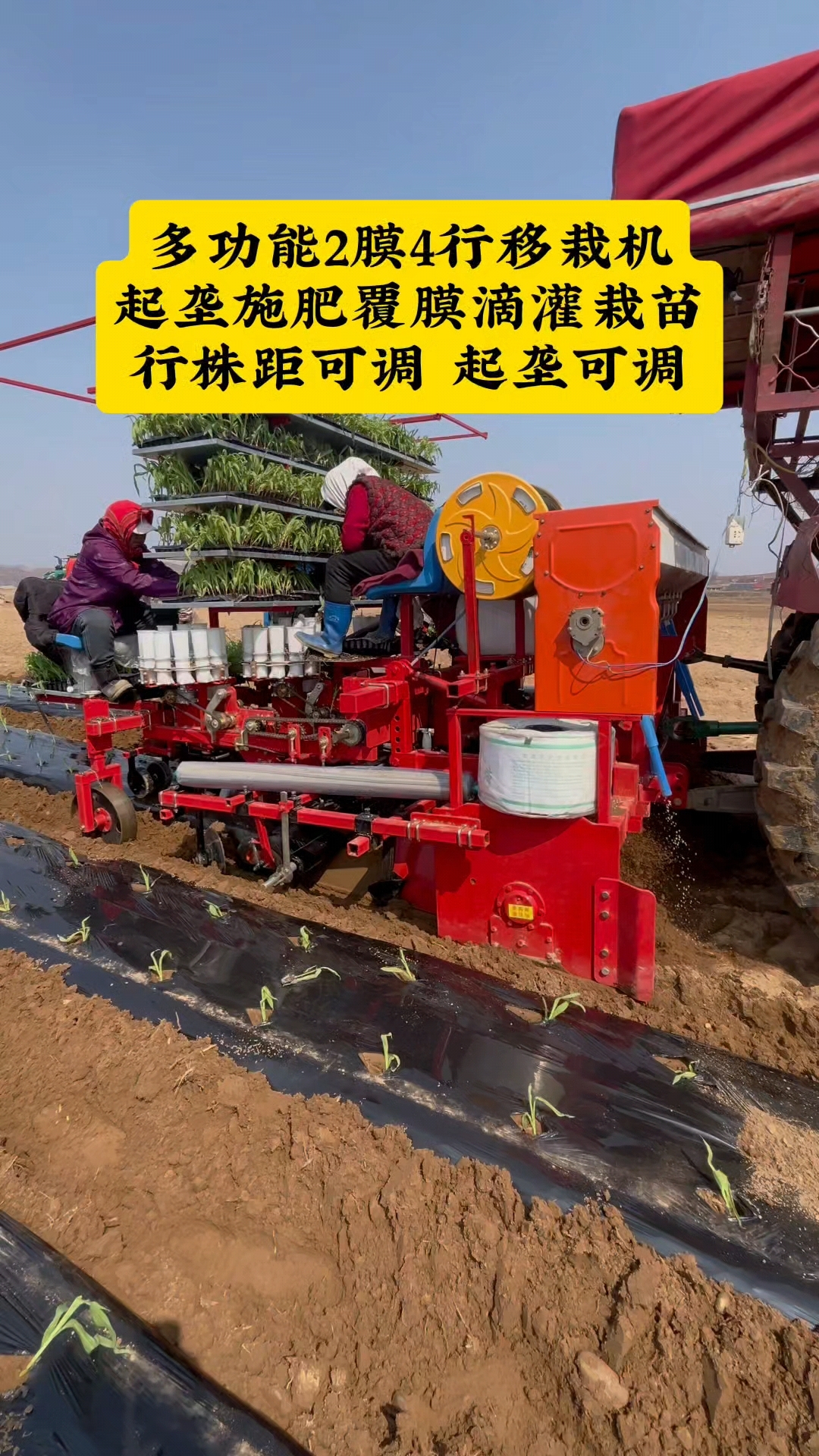 多功能秧苗起垄覆膜移栽机,玉米苗蔬菜苗