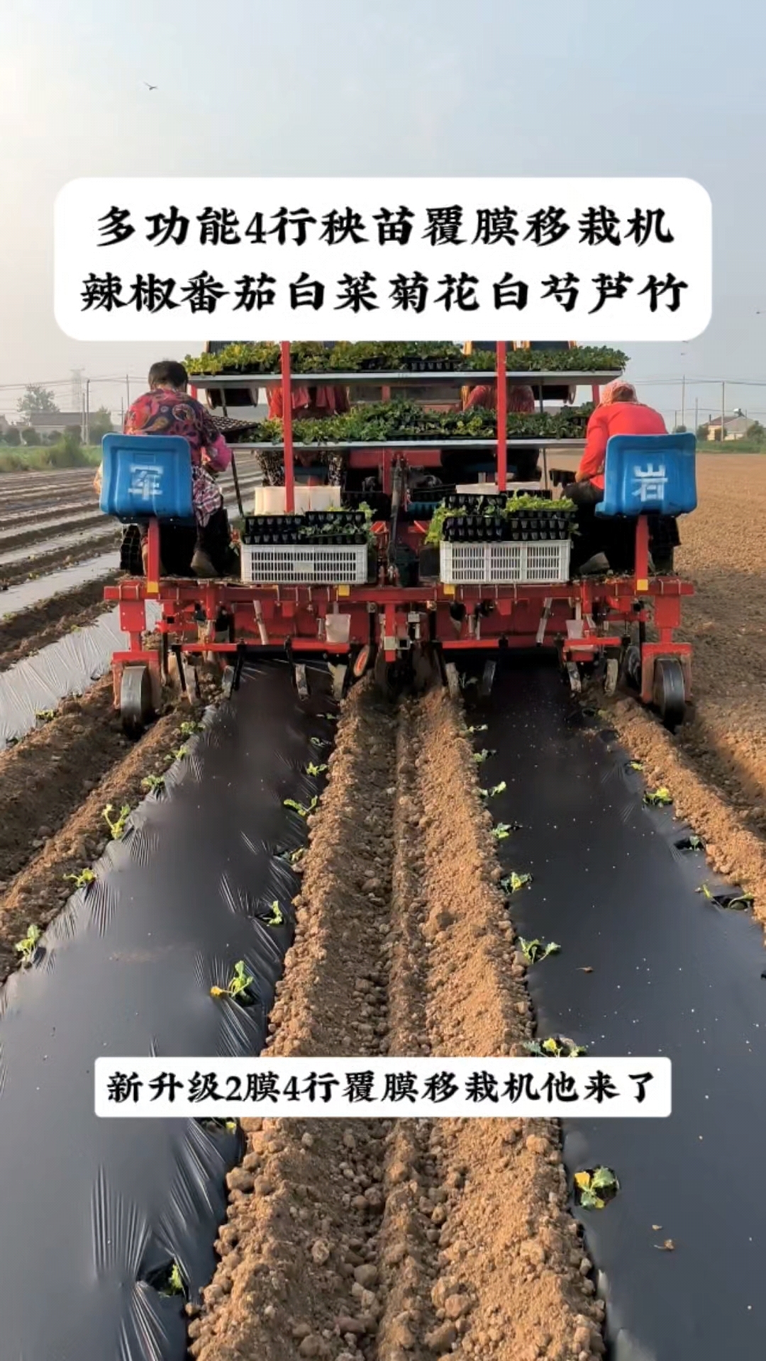 多功能2膜4行秧苗移栽机,适合各类蔬菜药材
