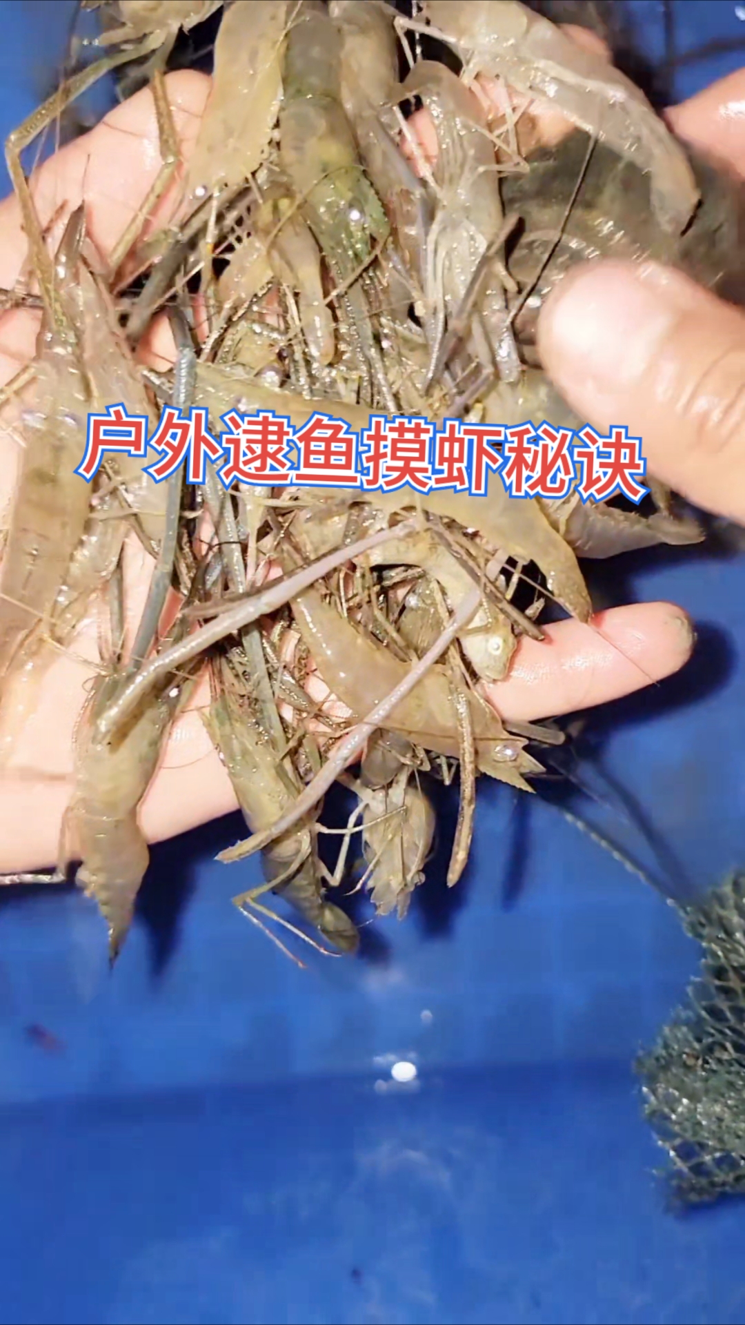 户外逮鱼摸虾抓螃蟹鳝鱼甲鱼小技巧