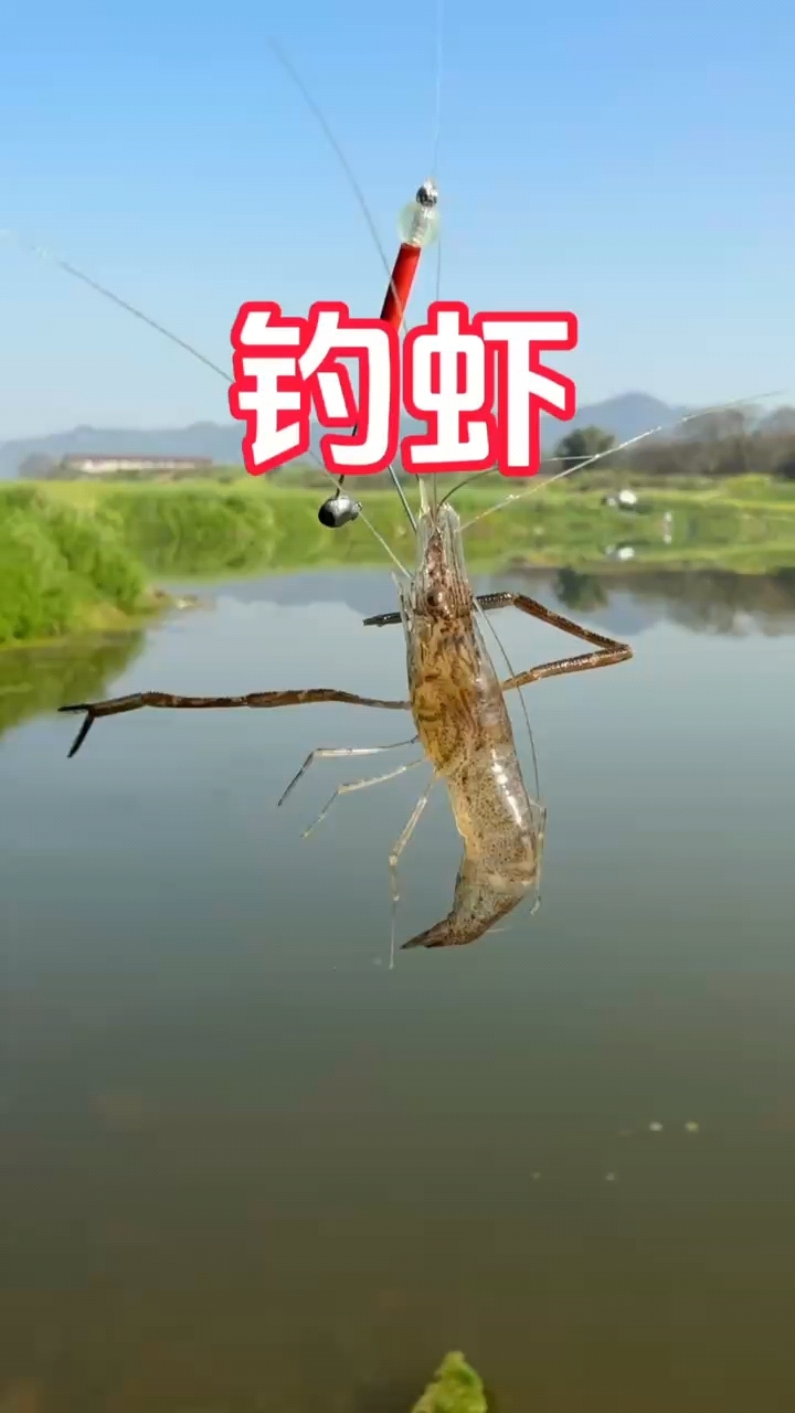 钓虾简单而且非常有趣