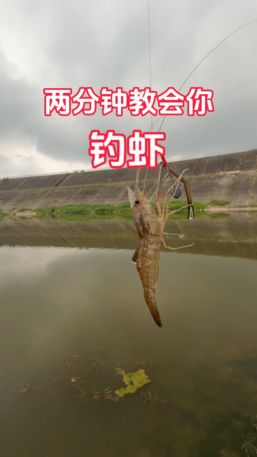 钓虾就是这么简单,两分钟就学会