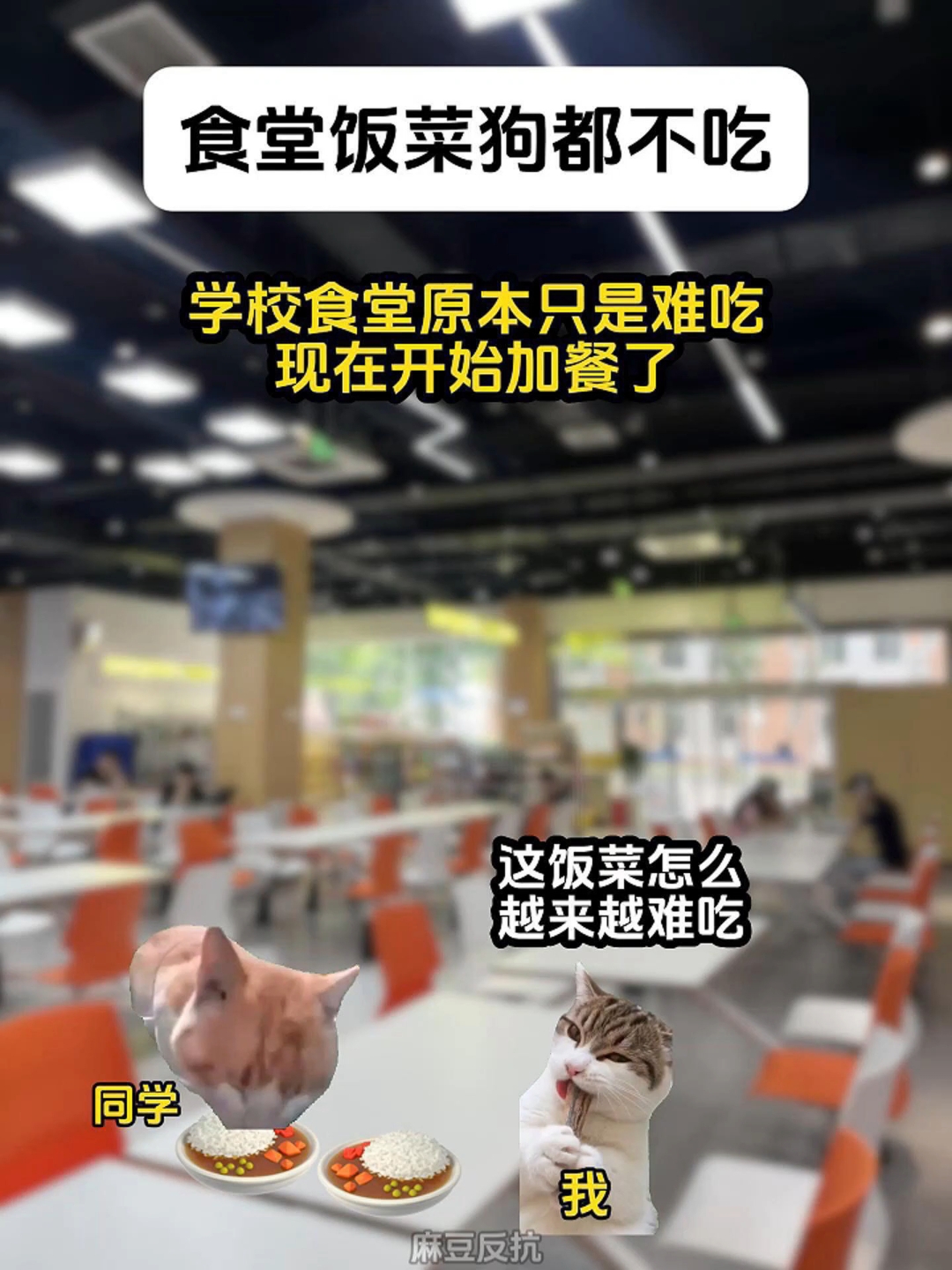 食堂饭菜狗都不吃2
