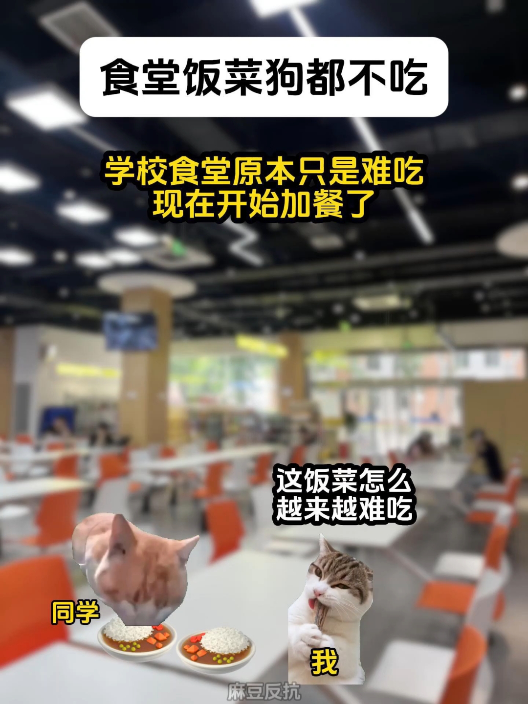 食堂饭菜狗都不吃