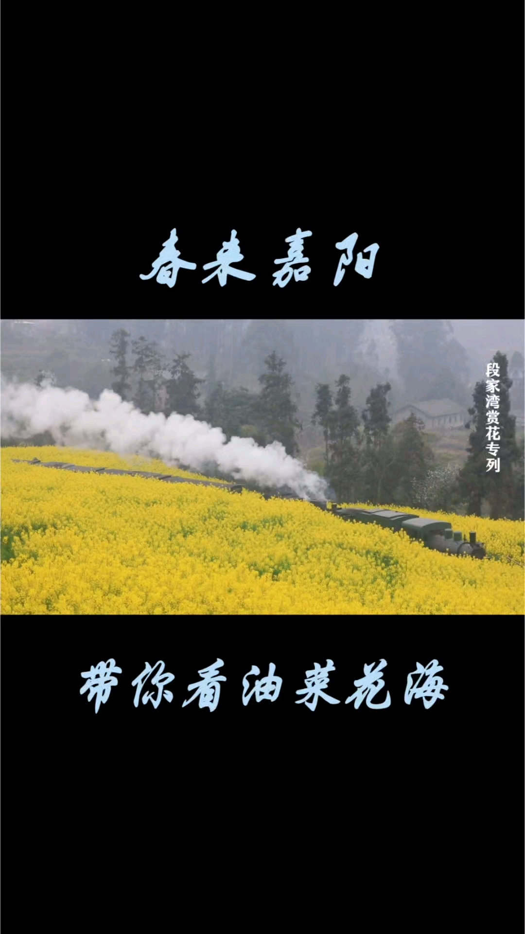 春来嘉阳,带你坐小火车,看百里油菜花海