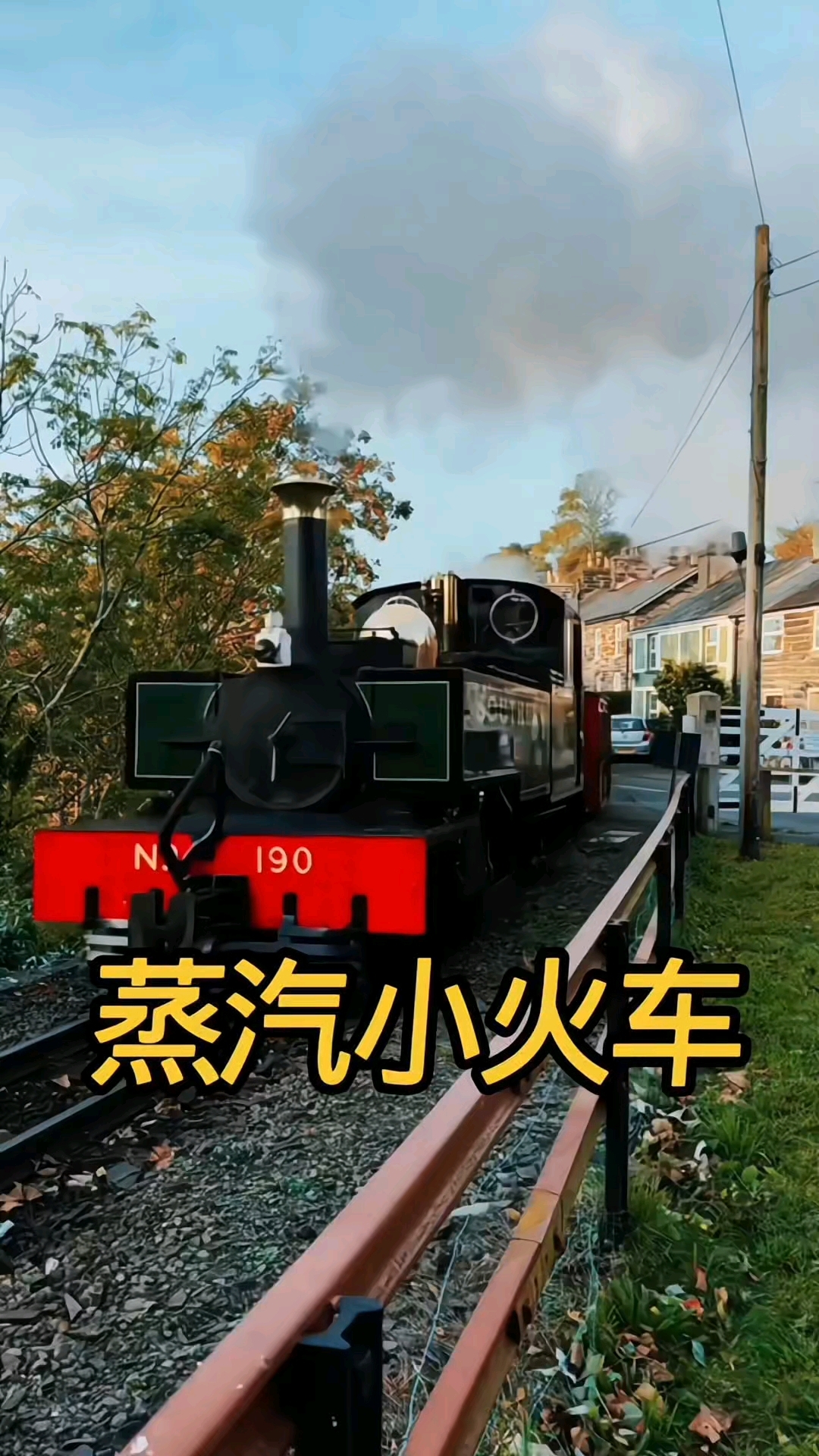 外国蒸汽小火车