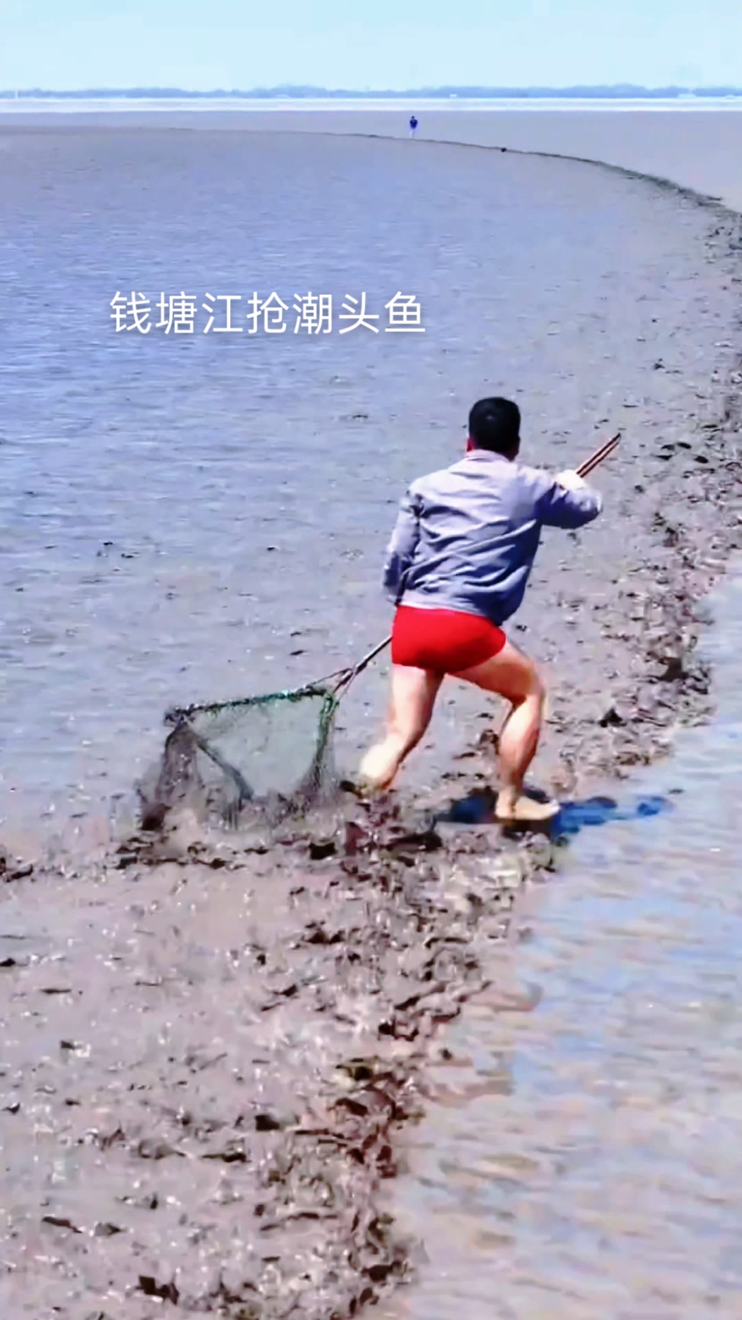 钱塘江#钱塘江抢潮头鱼#