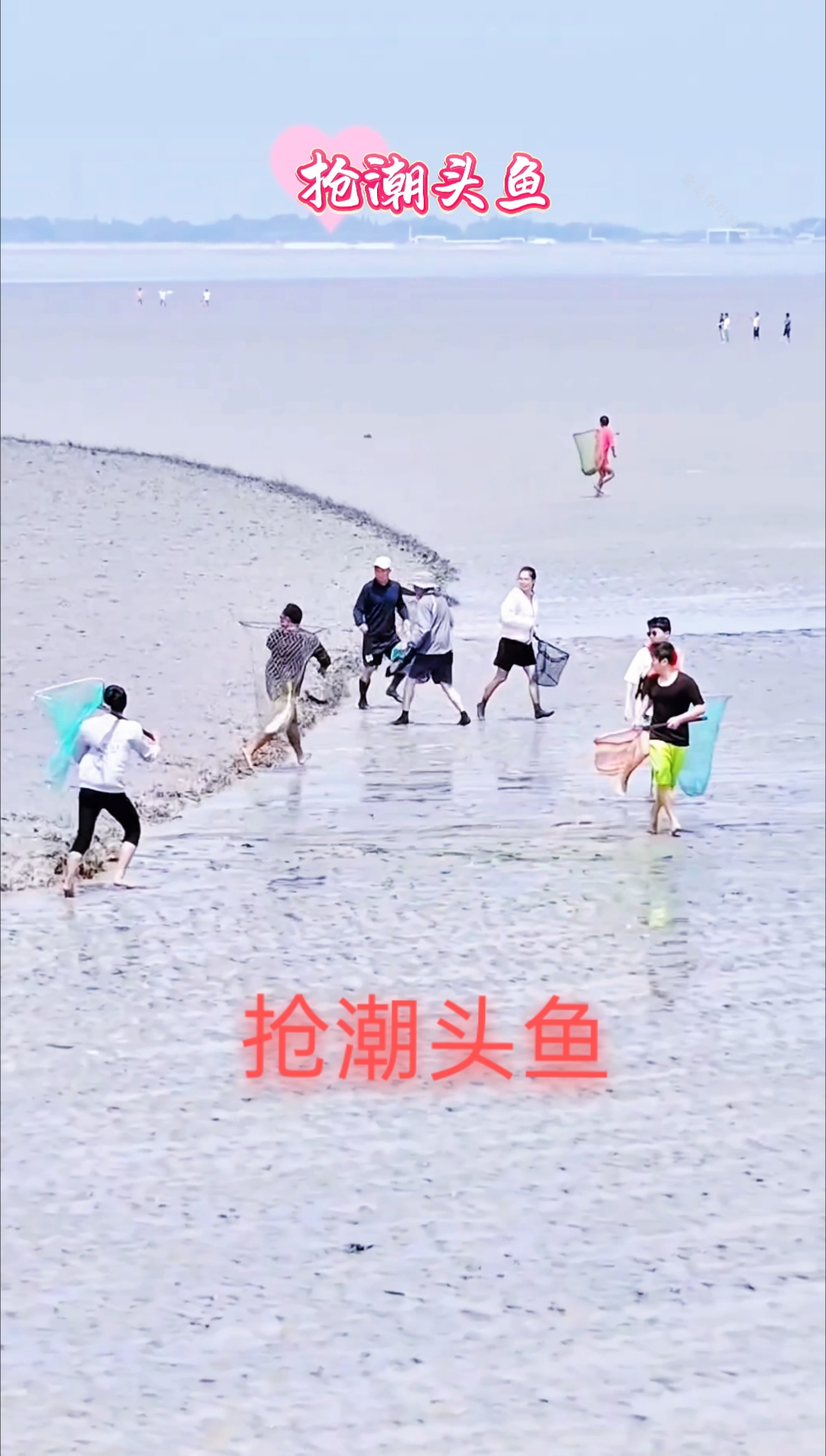 抢潮头鱼#钱塘江抢潮头鱼#