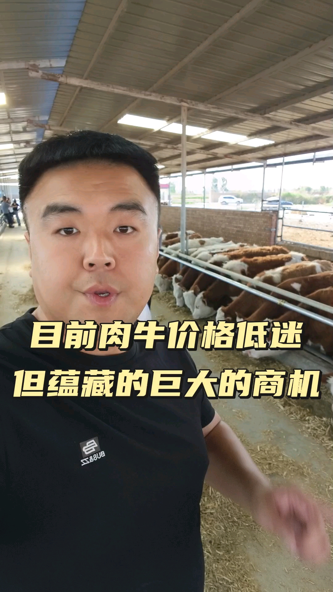 目前肉牛价低迷,但蕴藏的巨大商机