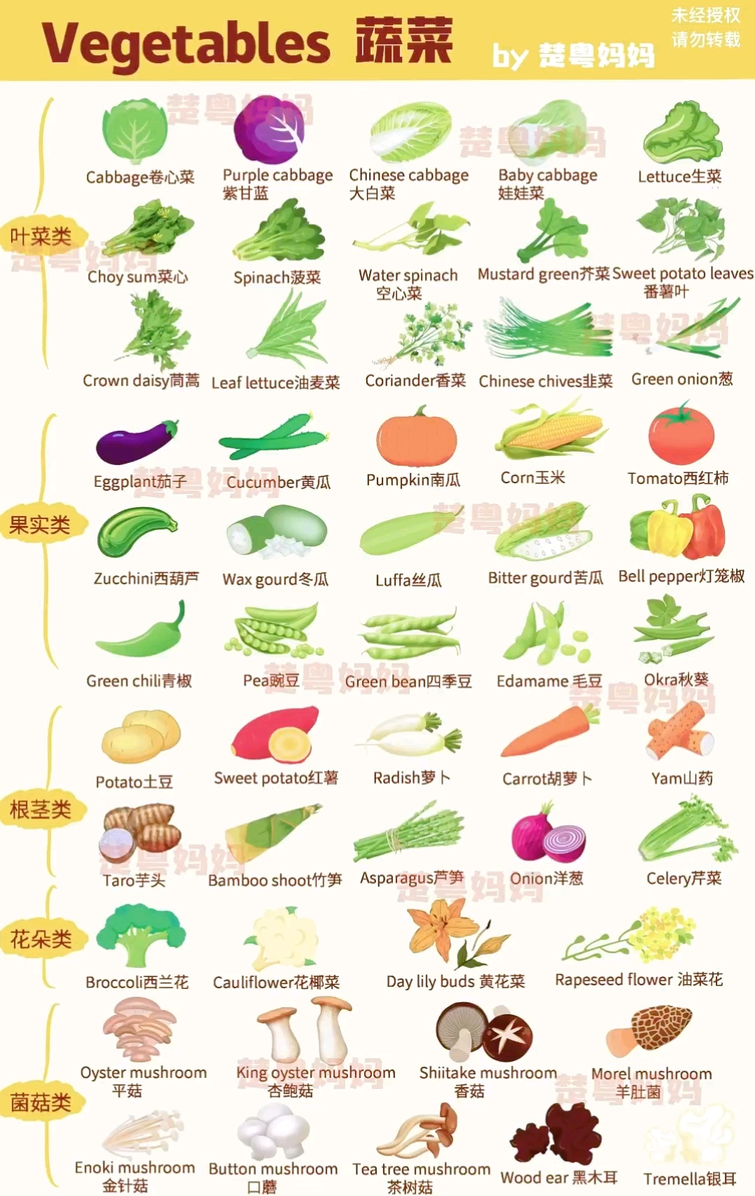 娃娃菜用英语怎么说?|超全的蔬菜英语单词