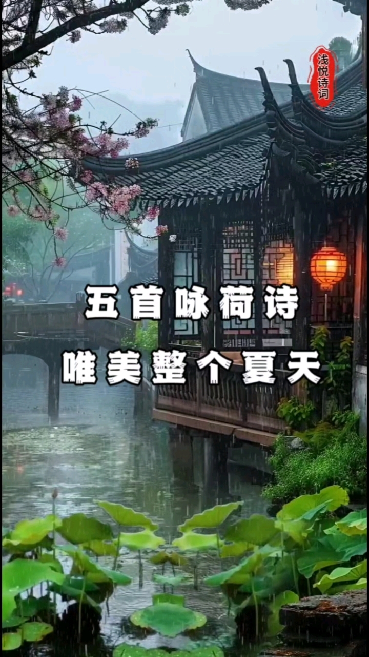 五首咏荷诗唯美整个夏天
