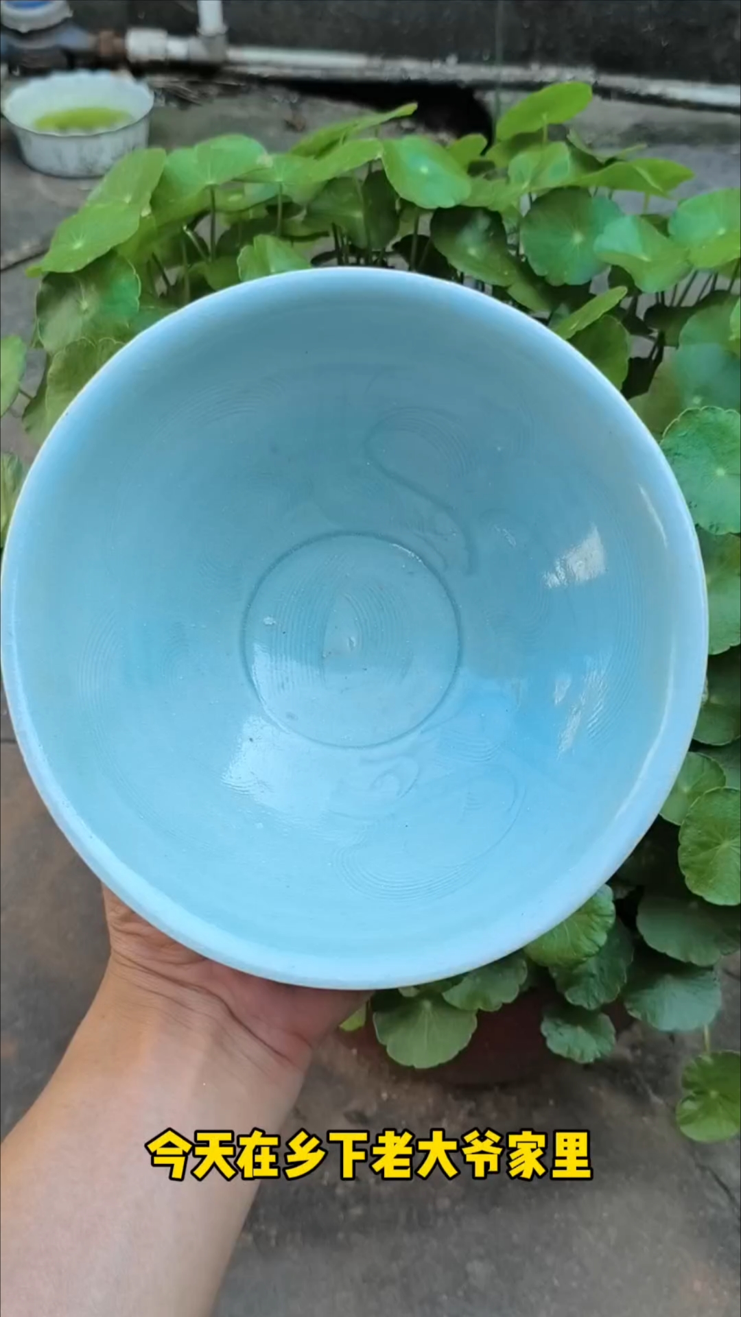 百元捡漏开门极品南宋湖田双鱼碗
