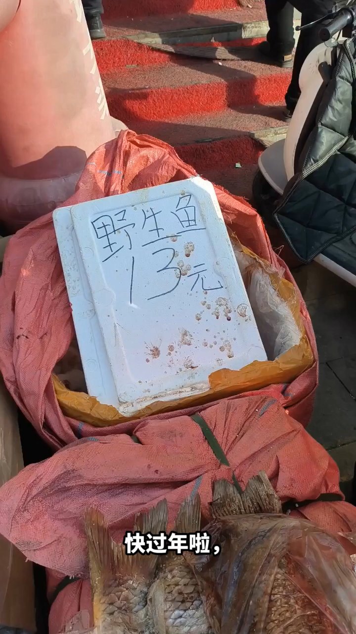 新疆博斯腾湖野生大鲤鱼的年味故事