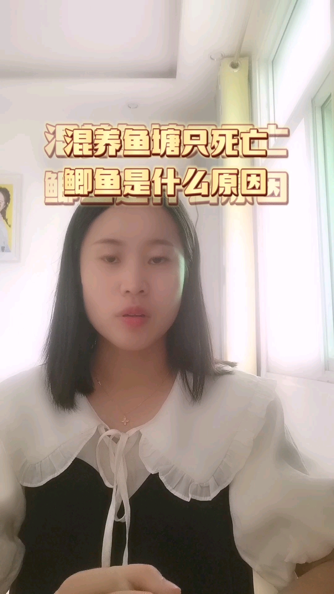 混养鱼塘只死亡鲫鱼是什么原因