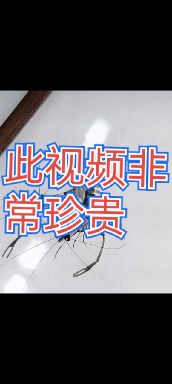 齐白石大师门下师父吴志刚现场创作画虾,此视频非常非常经典珍贵