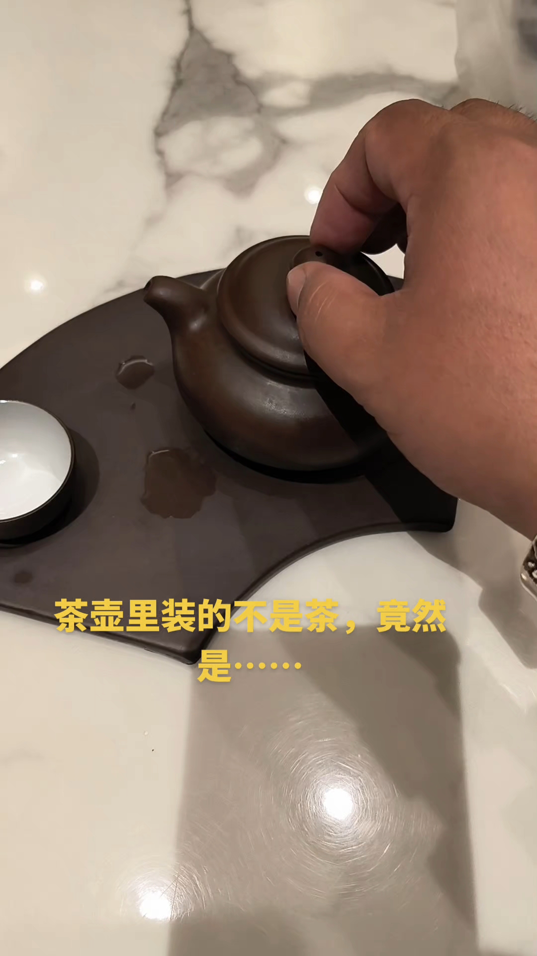 茶壶里装的不是茶,竟然是功夫汤#功夫汤 