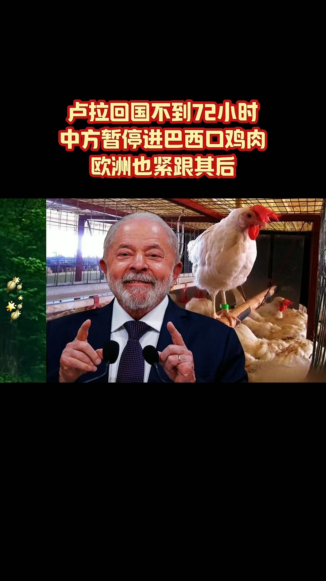 卢拉回国不到72小时,中方暂停进口巴西鸡肉,欧洲也紧跟其后