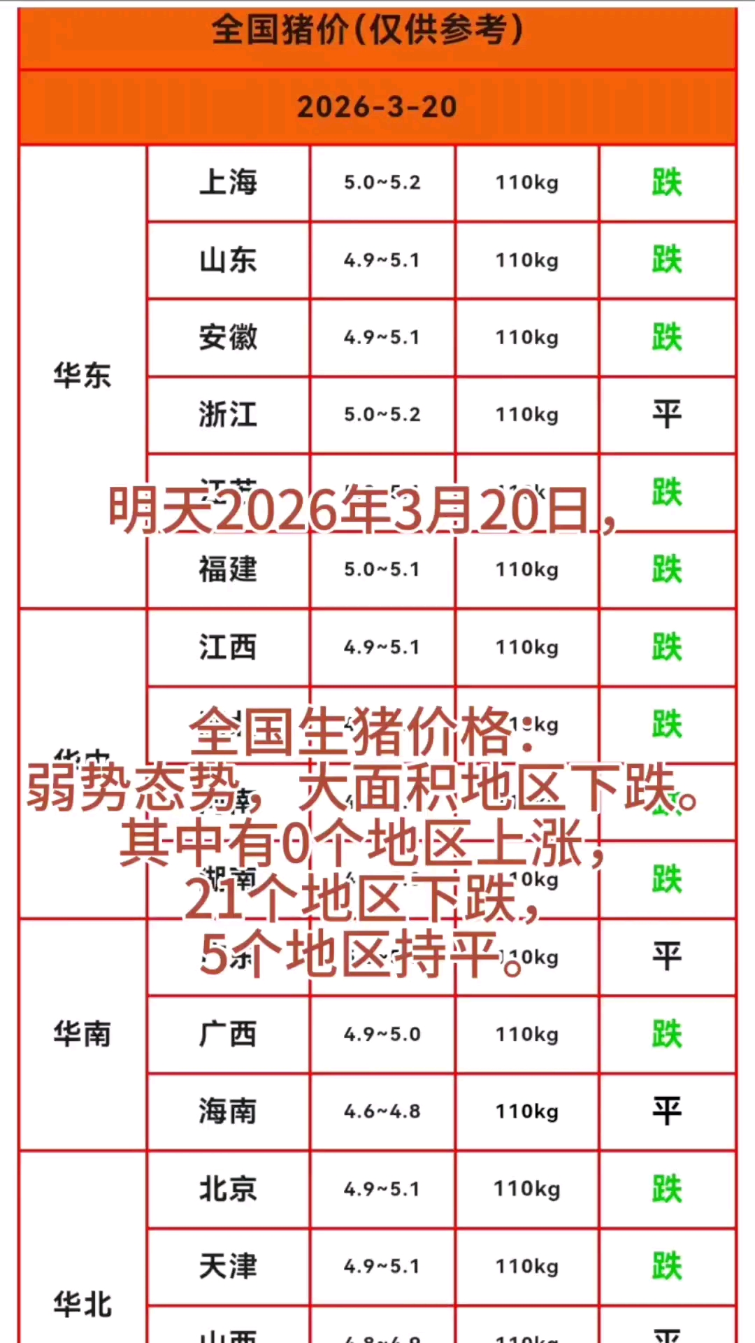 #新大陆计划# 明天2026年3月20日生猪价格信息，大面积地区下跌#生猪价格#