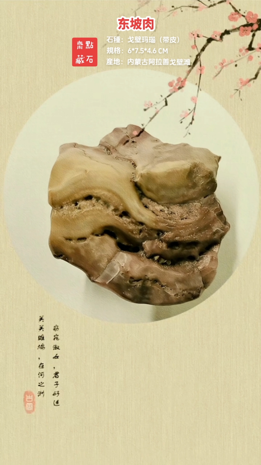 〖东坡肉〗带皮。戈壁玛瑙。内蒙古阿拉善。早期地表产地天然原石
