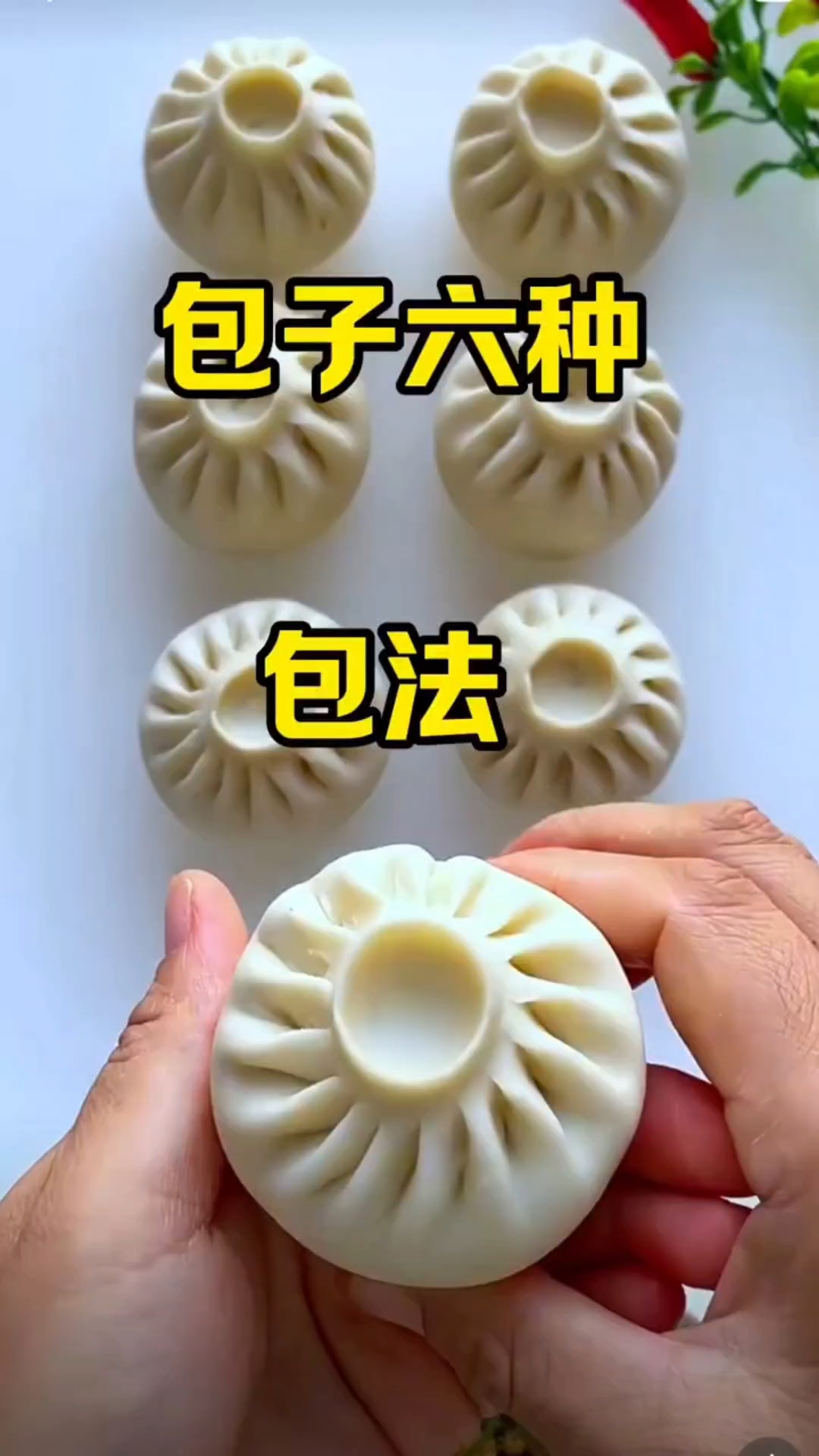包子的六种包法
