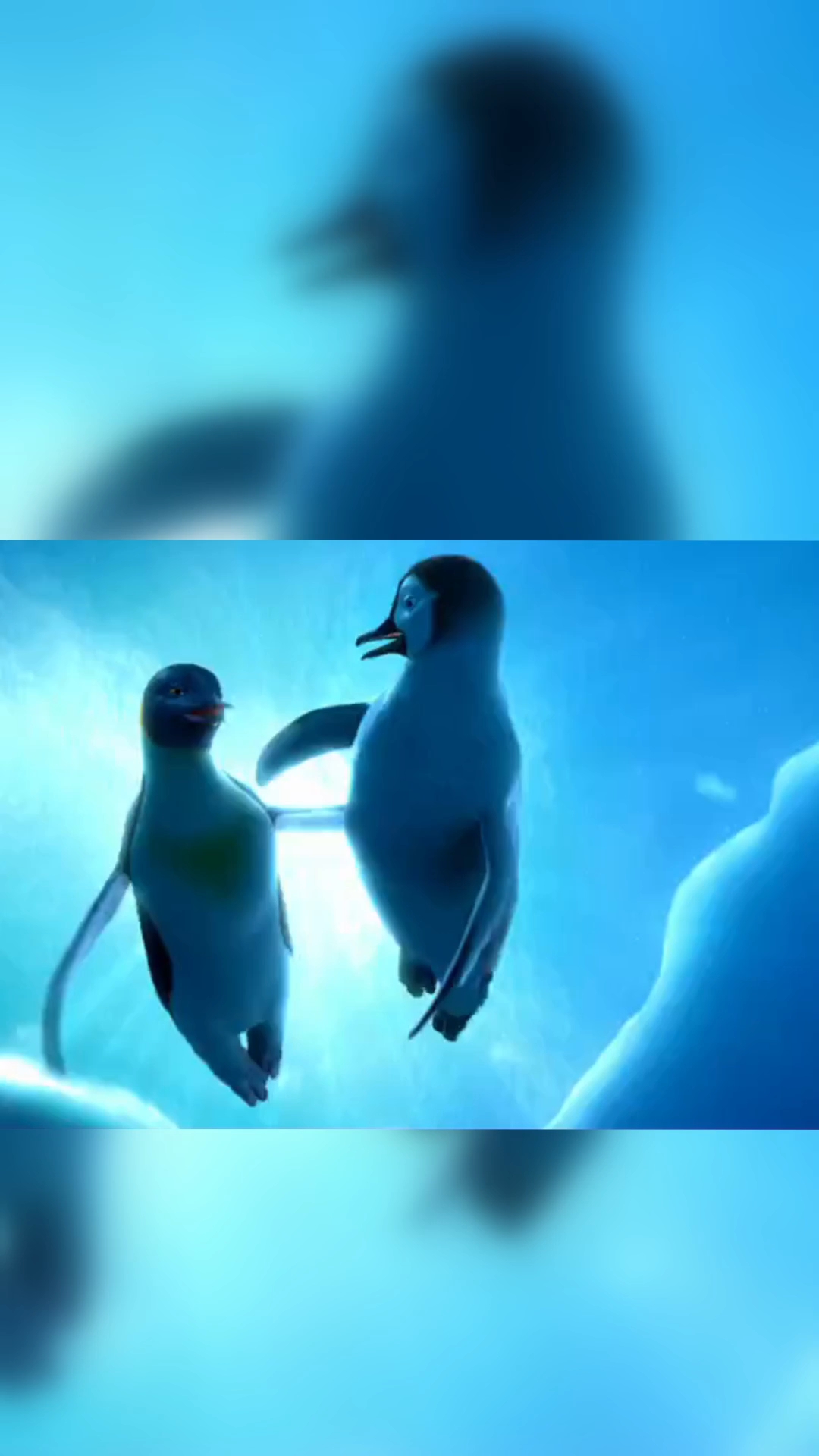 小企鹅的花样游泳太棒了