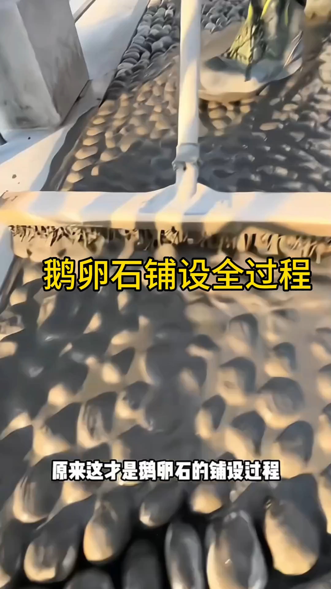 鹅卵石铺设全过程。