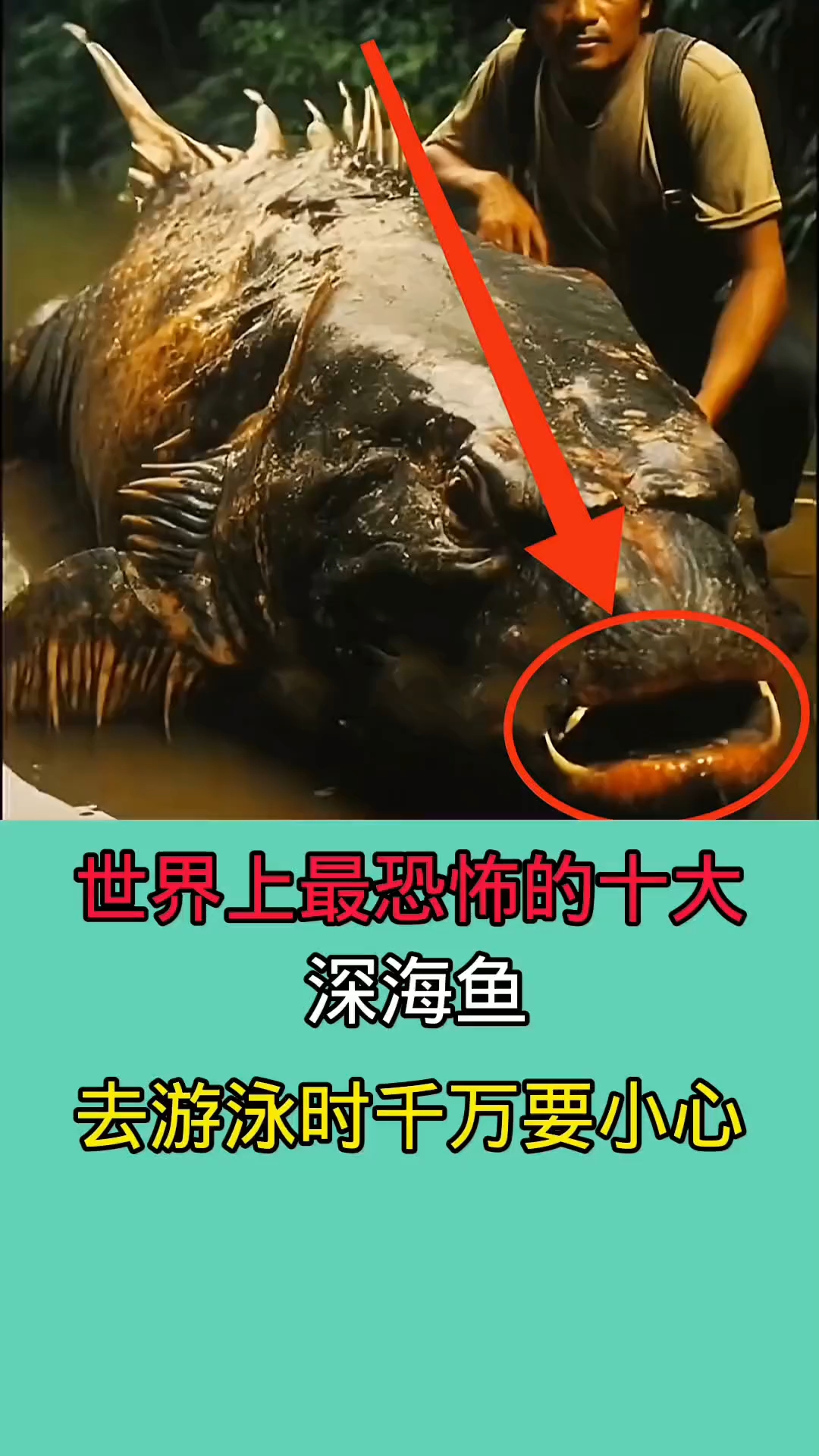 世界上最恐怖的十大深海鱼!!!!!!