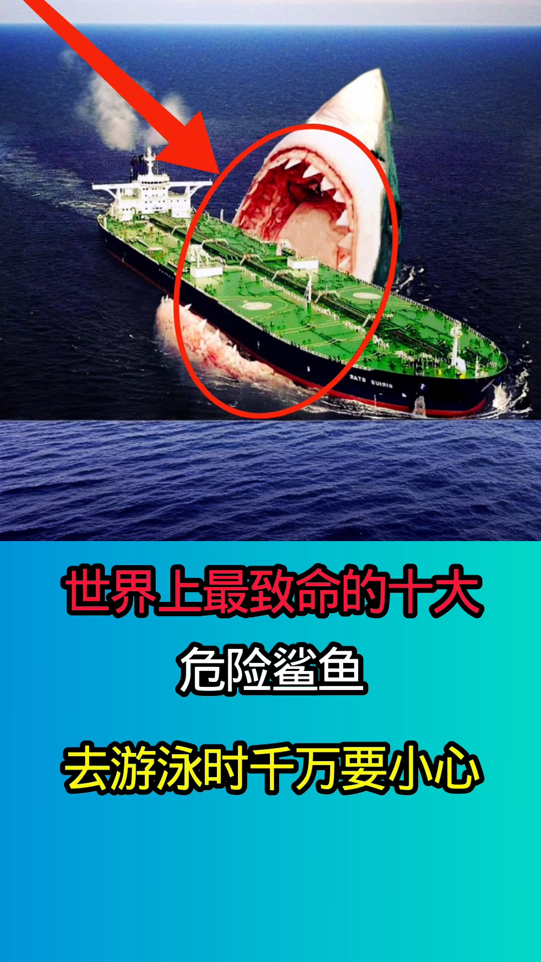 世界上最致命的十大危险鲨鱼!!!!!!
