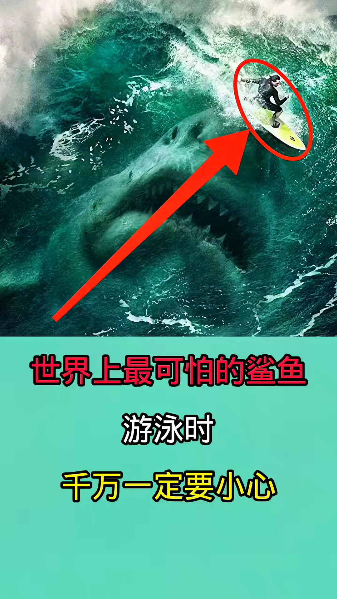 去海里游泳时一旦被这些鲨鱼咬到!后果无法想象!!!!!!