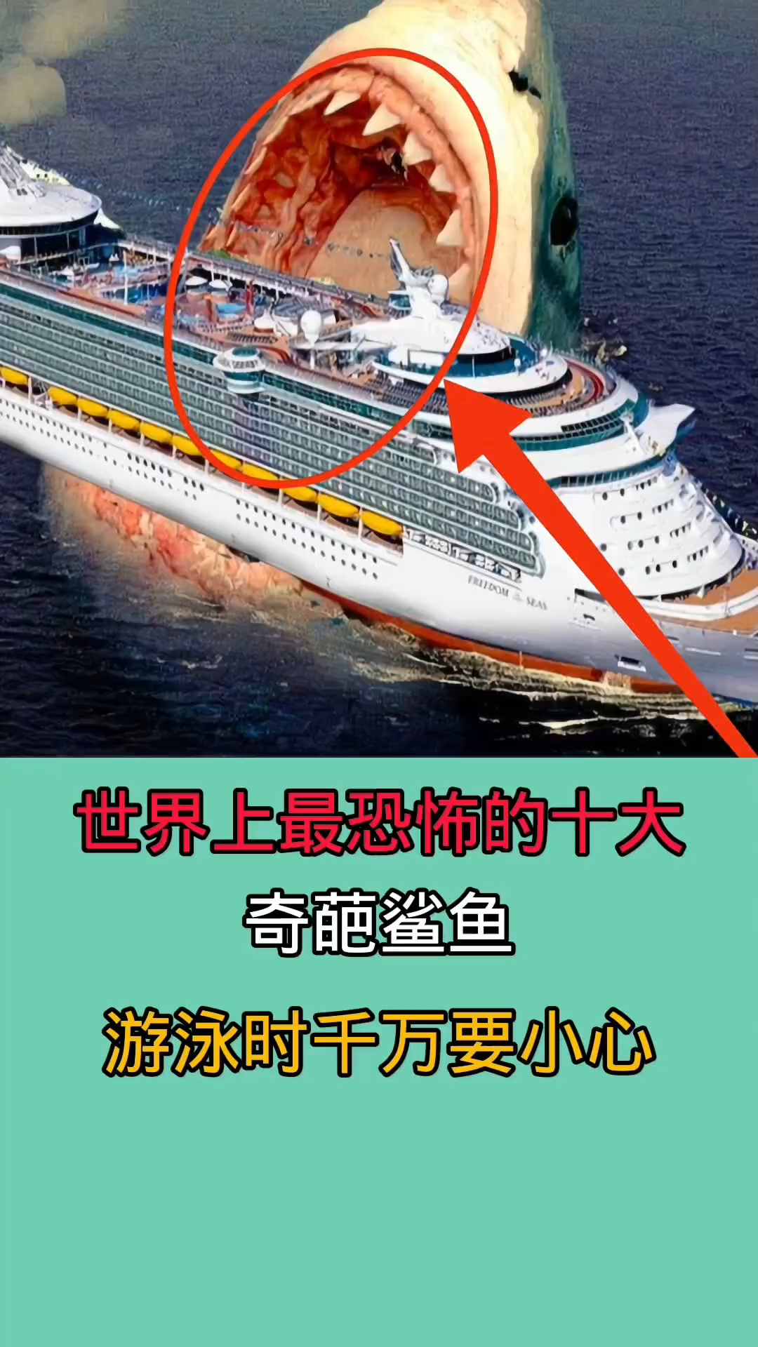 去海里游泳时一旦被这些鲨鱼咬到!后果不堪设想!!!!!!