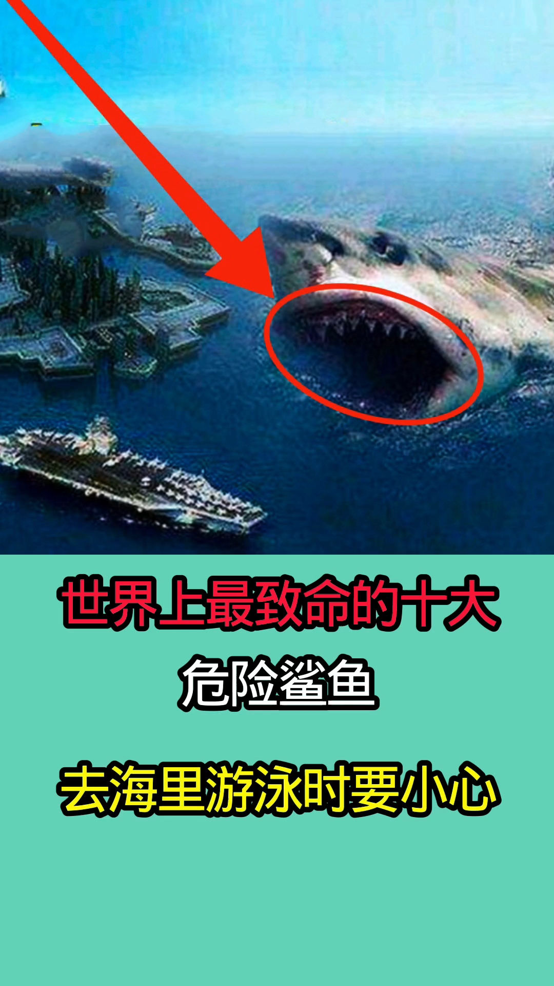 世界上最致命的十大危险鲨鱼!!!!!!
