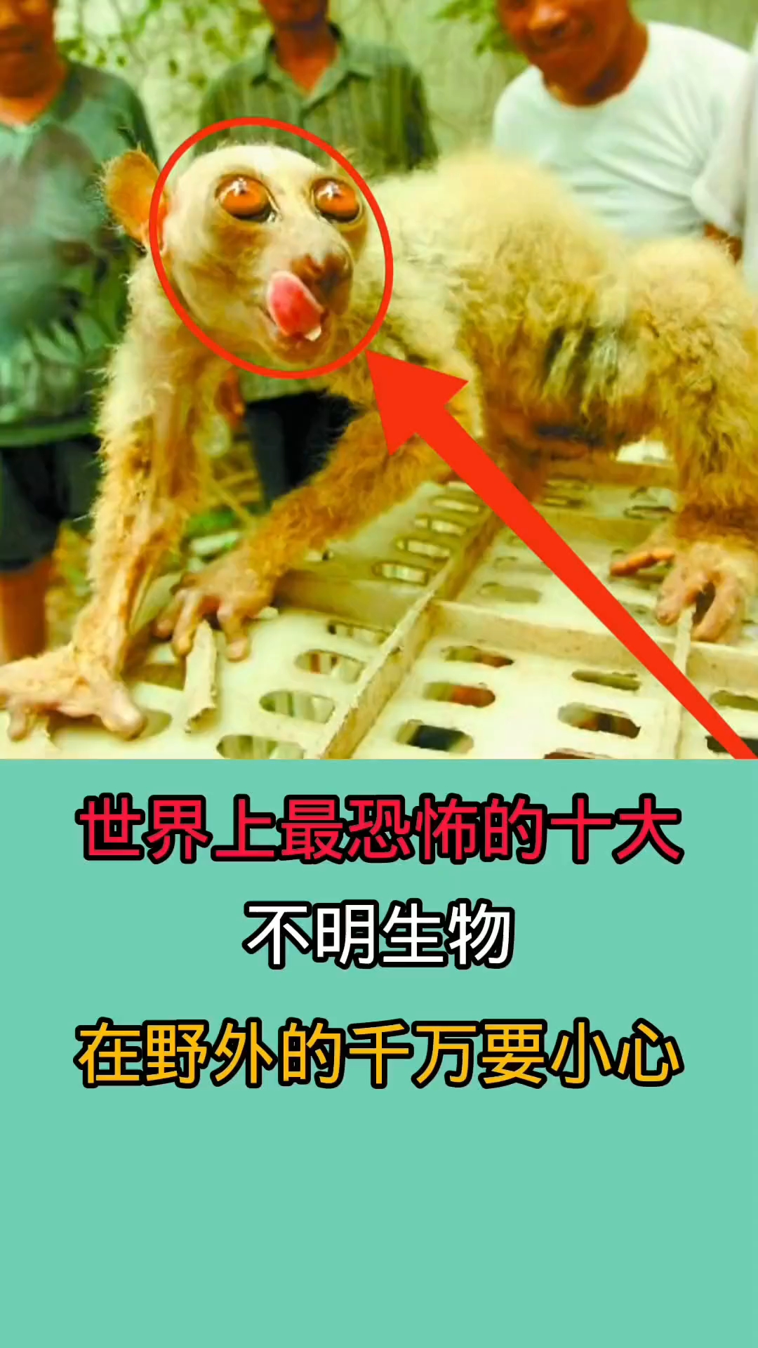 在野外时千万一定要小心这些生物!因为他们相貌特别恐怖!!!