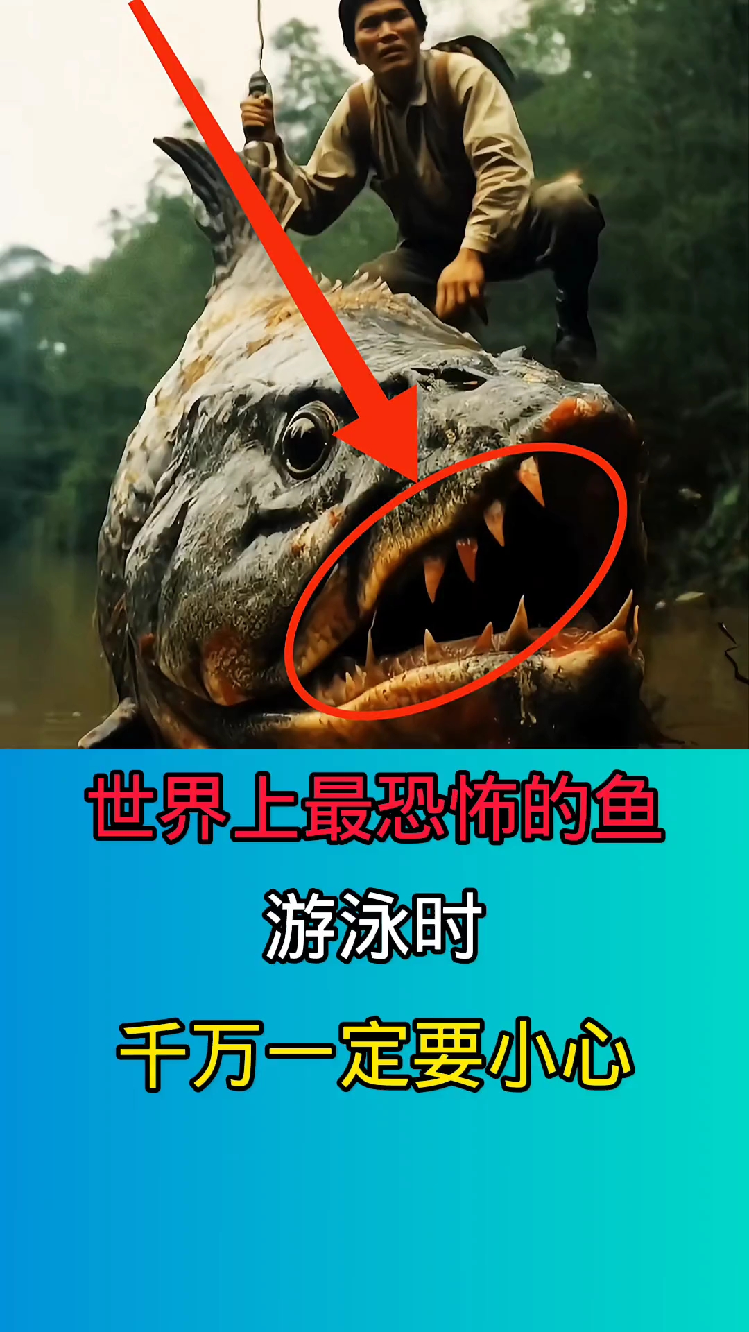 在野外游泳时一旦被这些鱼咬到!后果不堪设想!!!!!!