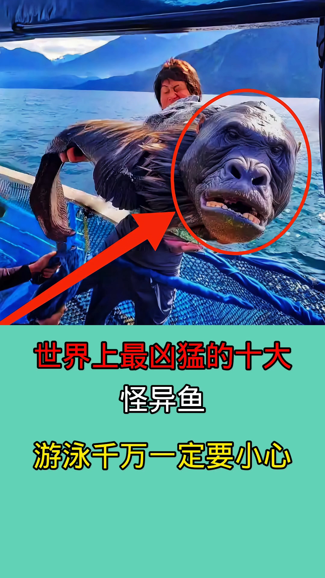 世界上最凶猛的十大怪异鱼类!!!!!!