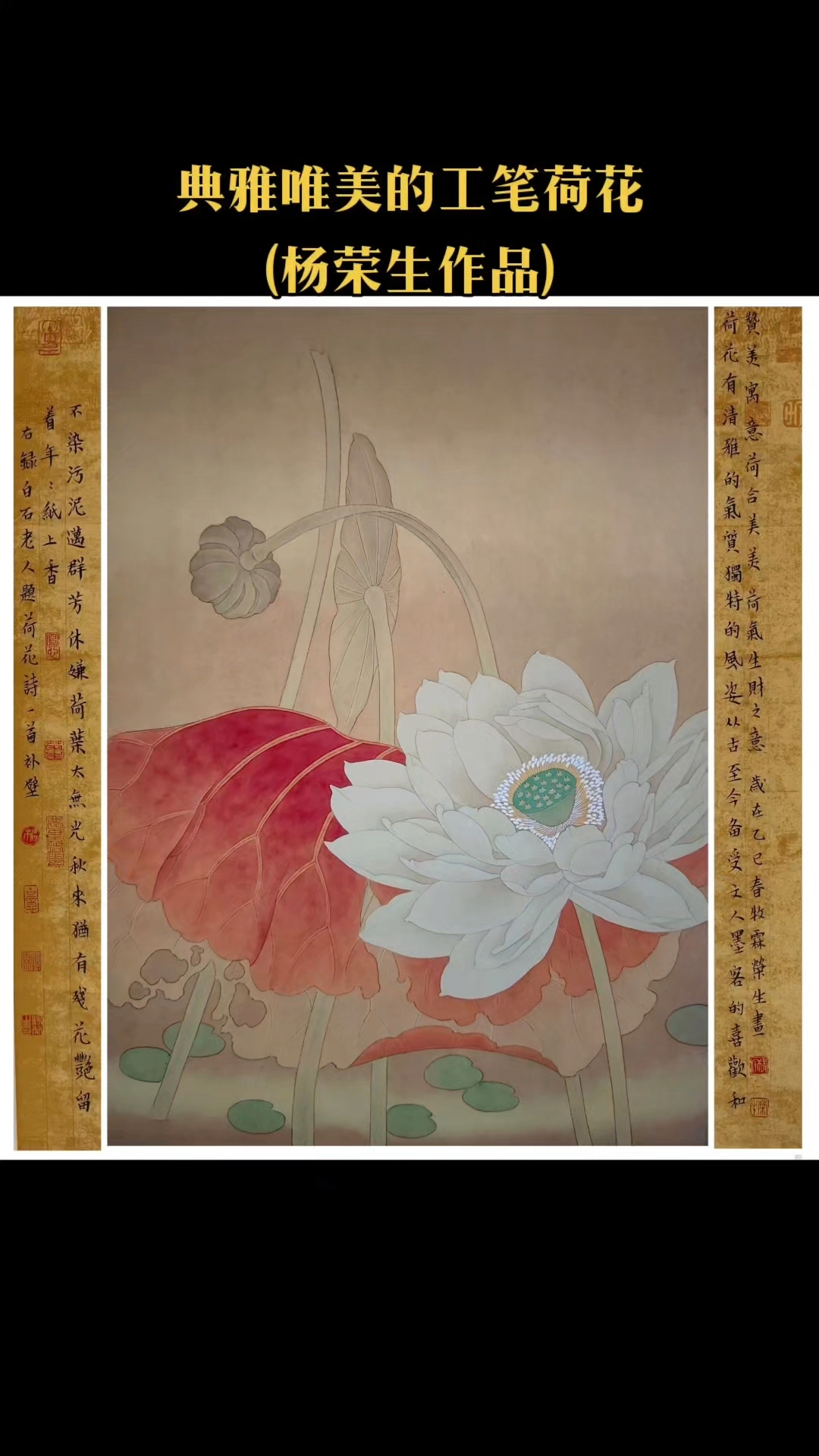 典雅而唯美的工笔荷花(杨荣生作品)