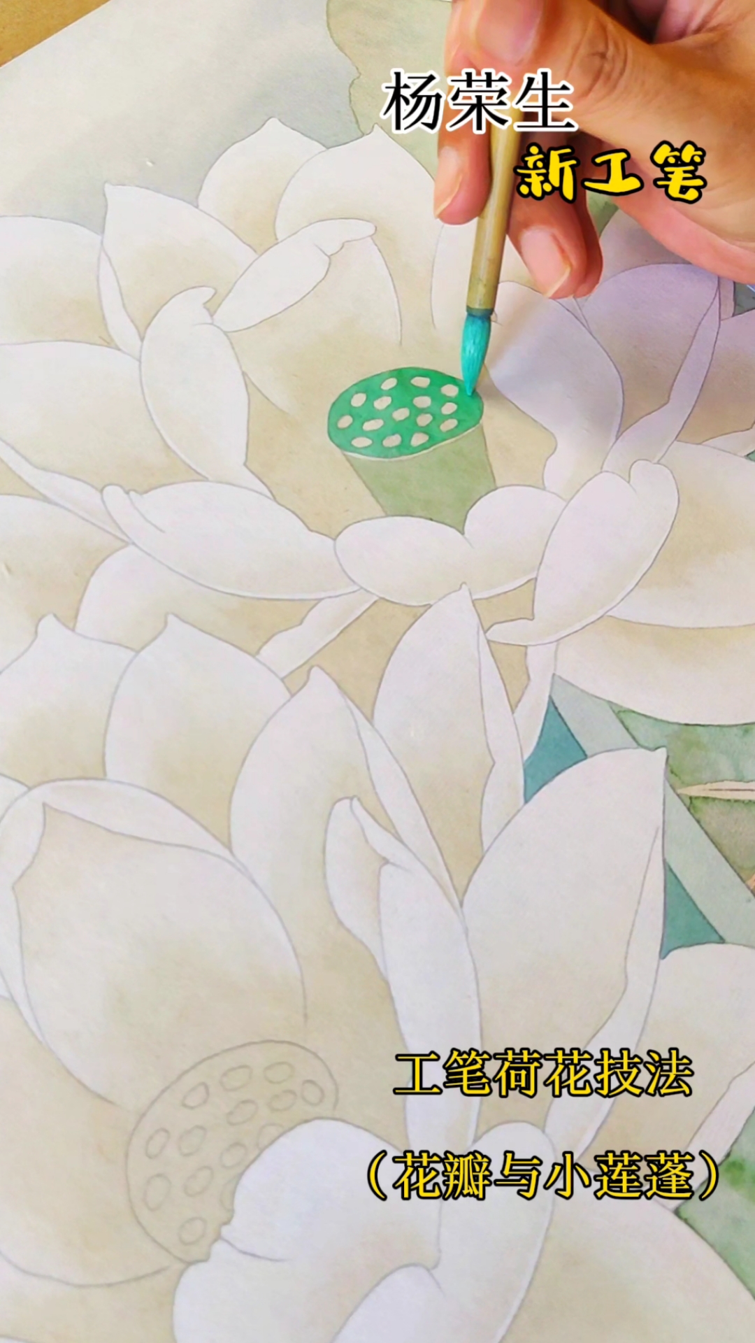 工笔荷花技法(花瓣与小莲蓬)杨荣生