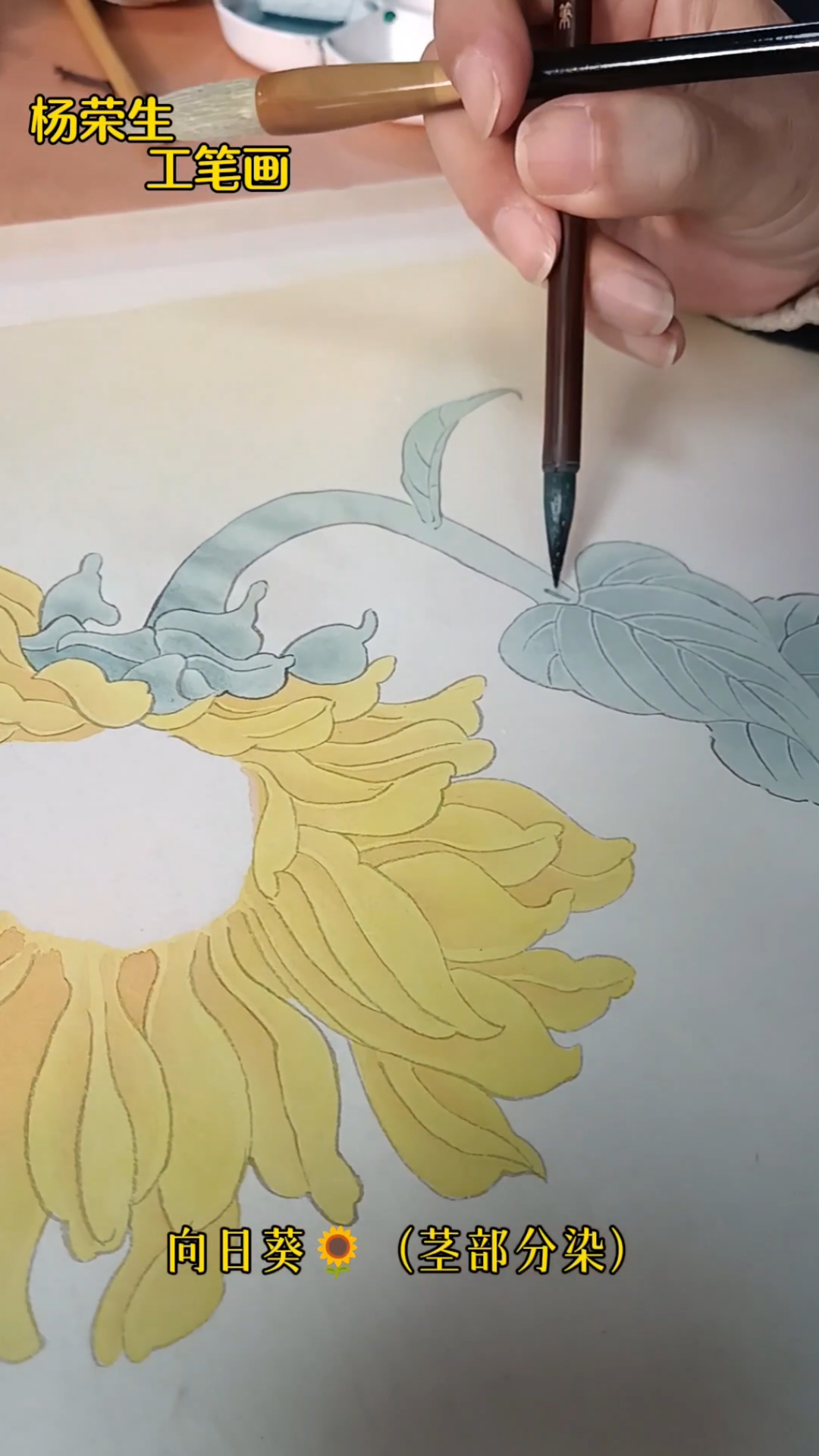 国画写生到独立创作(5)花茎(向日葵 示范)