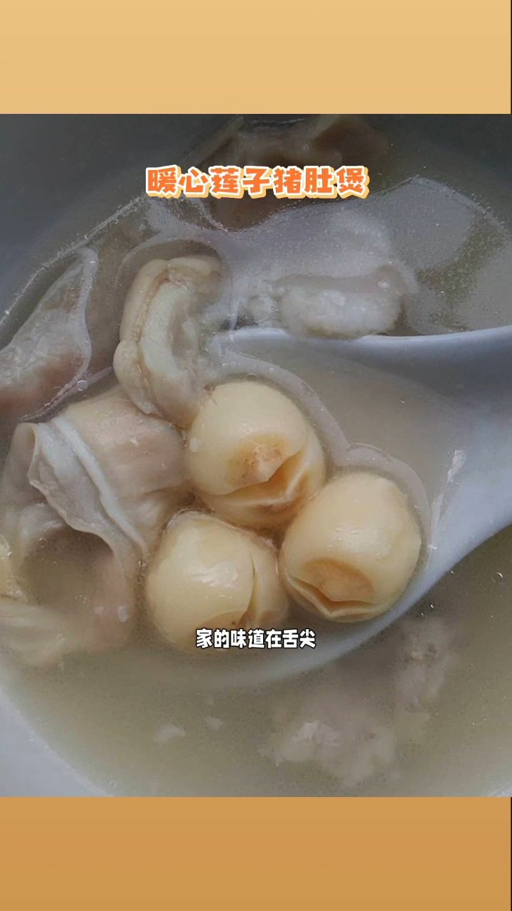 舌尖狂欢!一口莲子猪肚煲,鲜到灵魂出窍