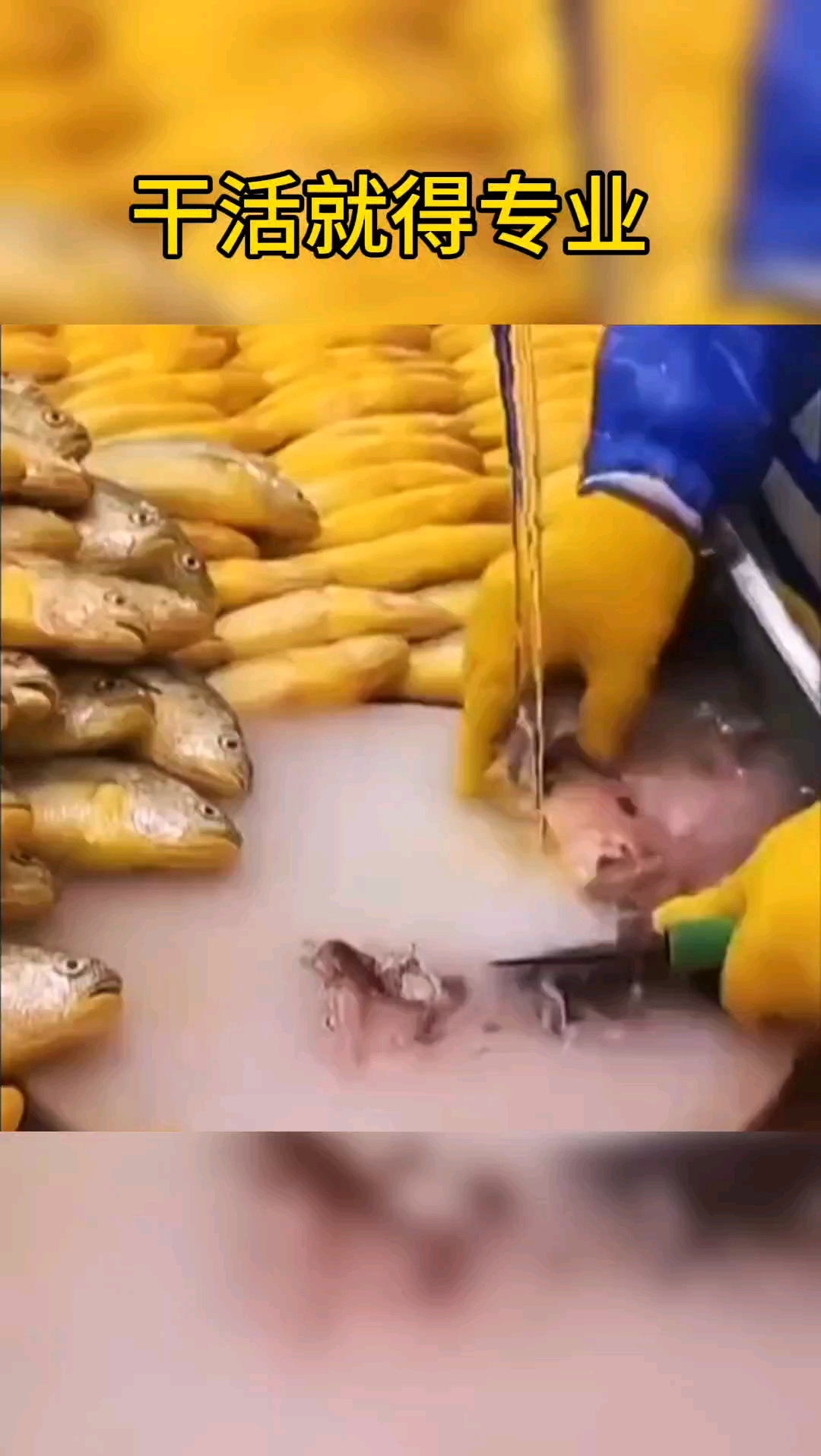 你们快看,这处理小黄鱼太简单。