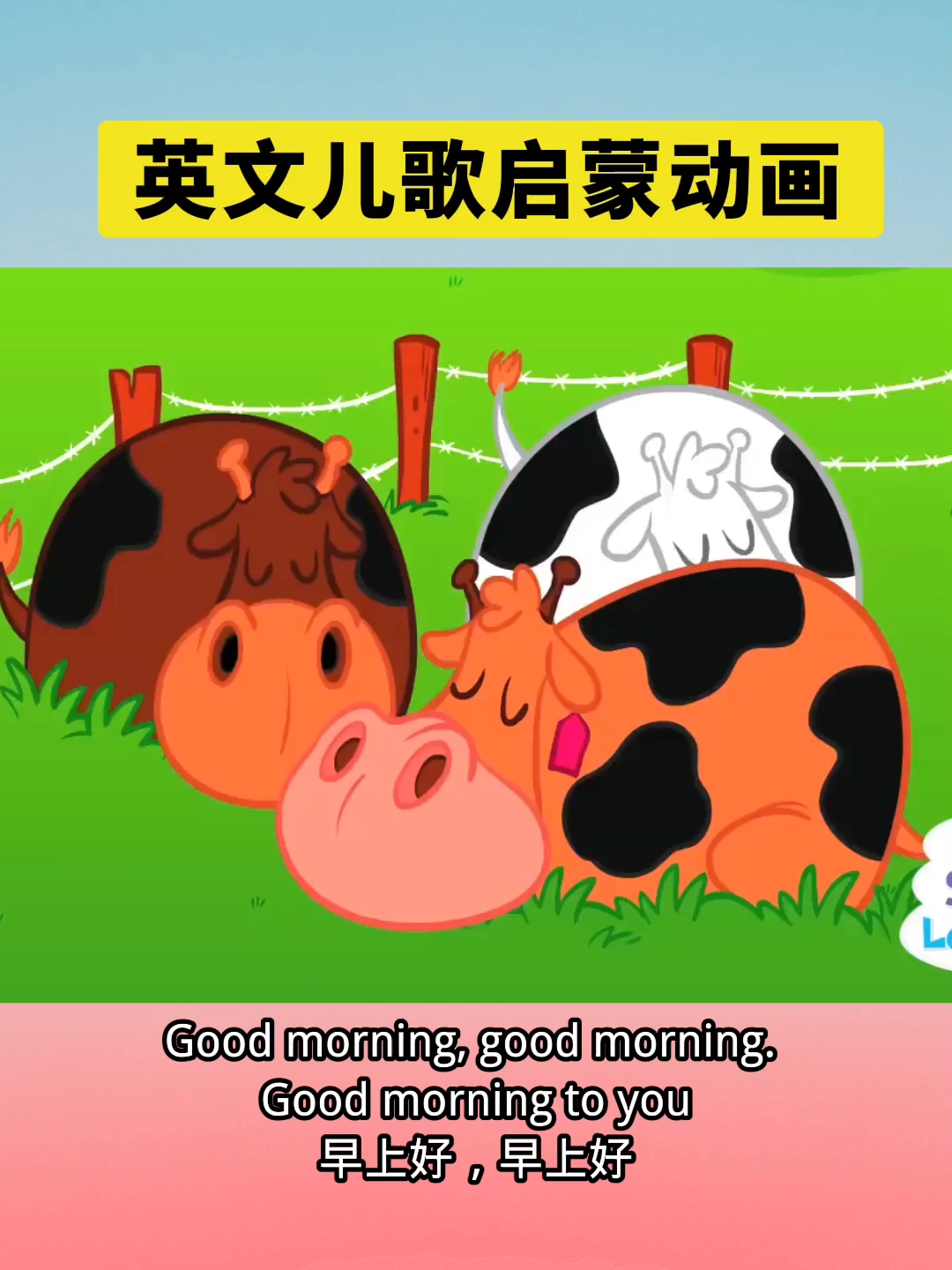 公鸡先生，早上好