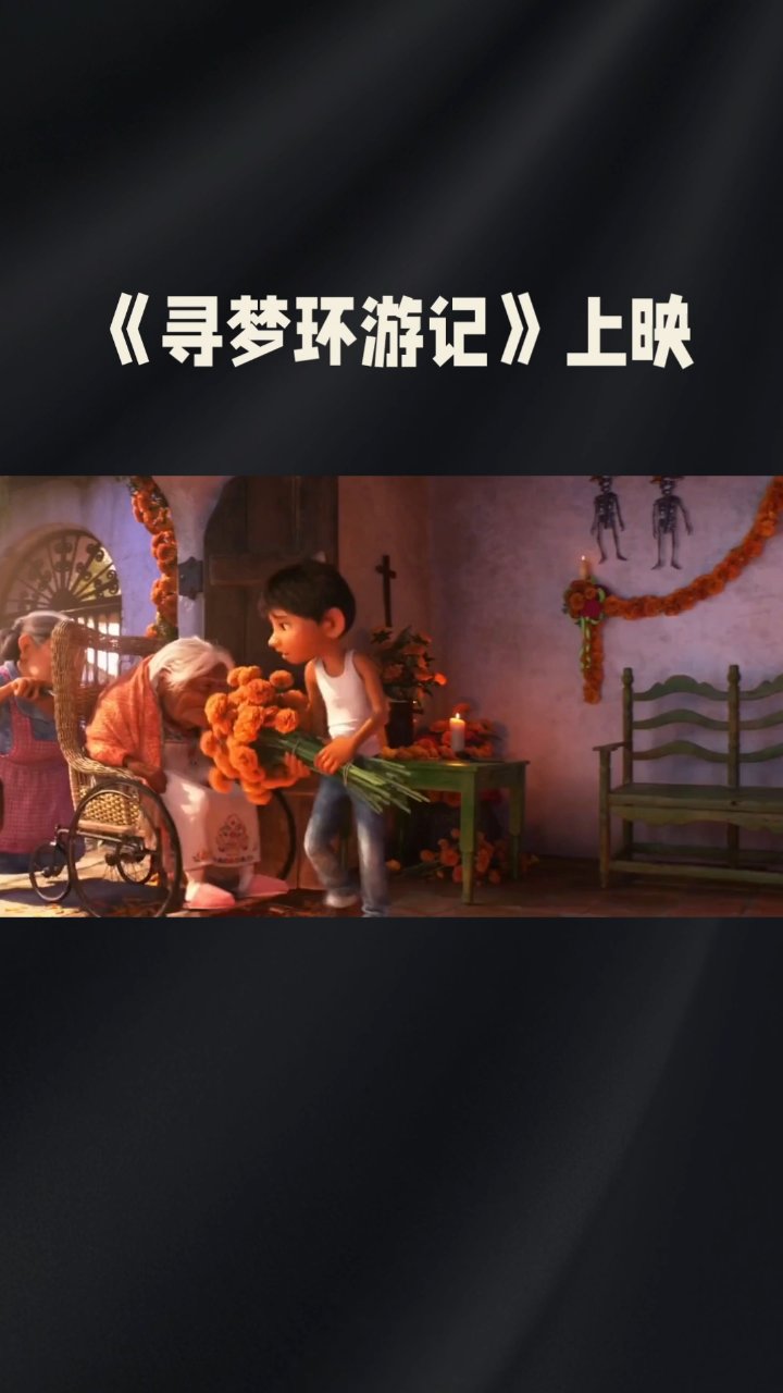 寻梦记。