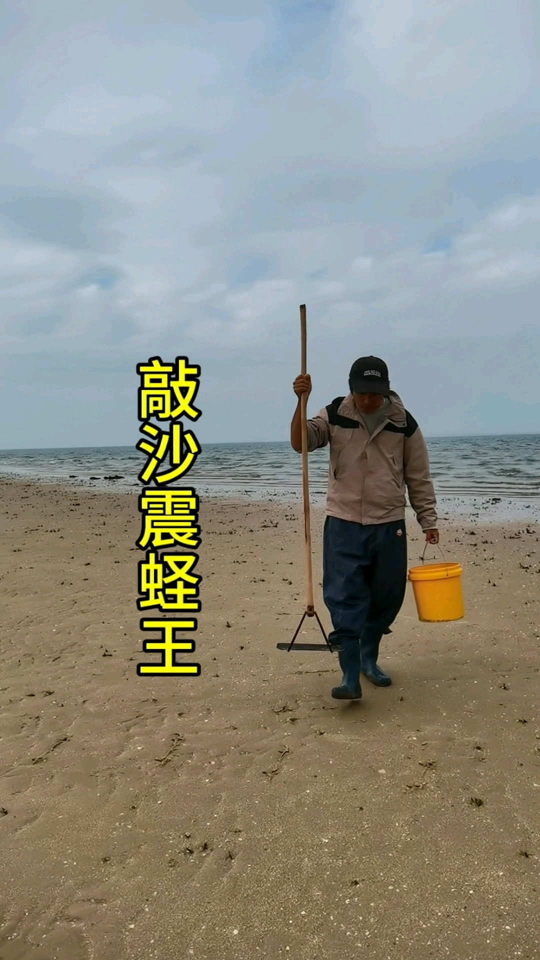 敲沙震蛏子,蛏王海鲜粥