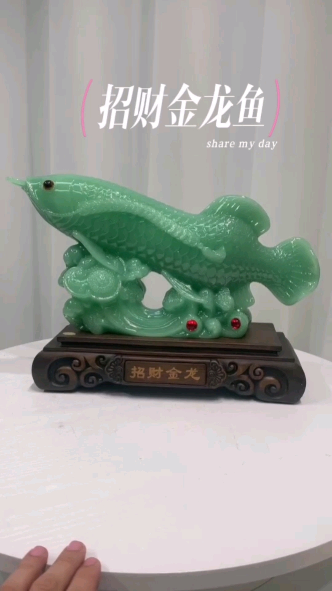 招财金龙鱼,太美了