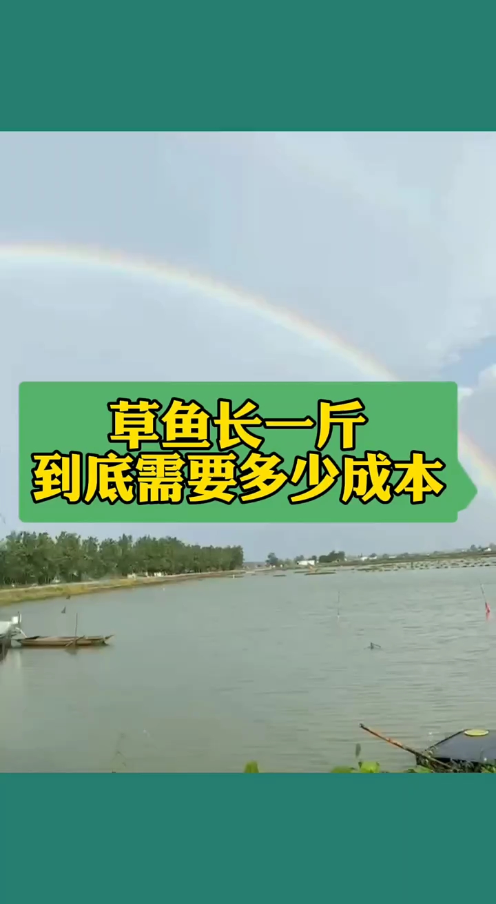 草鱼长一斤鱼肉到底需要多少成本?