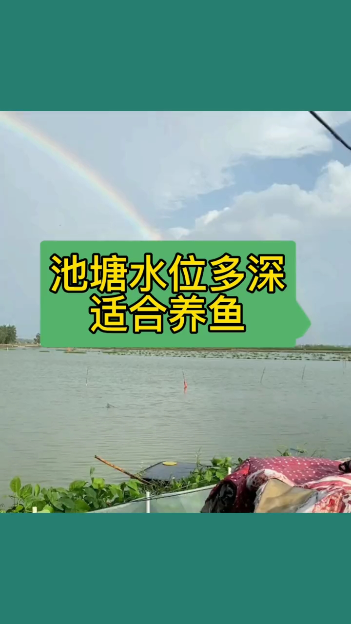 池塘水位多深适合养鱼?
