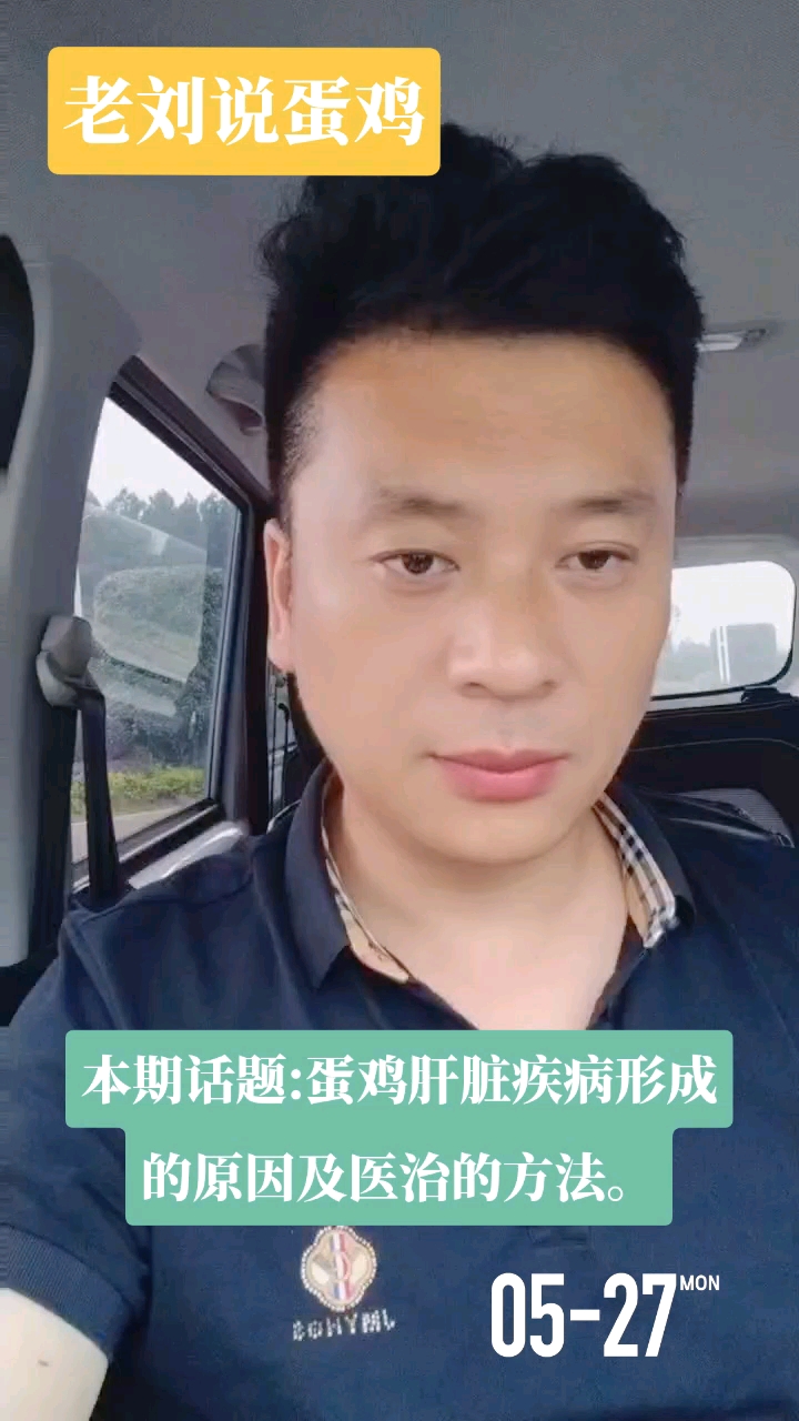 蛋鸡肝脏疾病预防及治疗方法