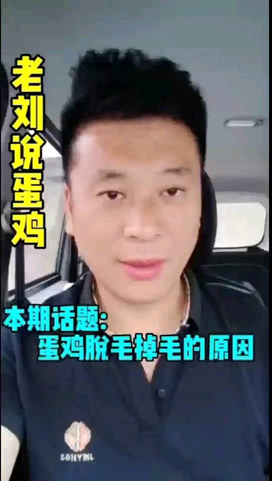 蛋鸡掉毛的原因及对策