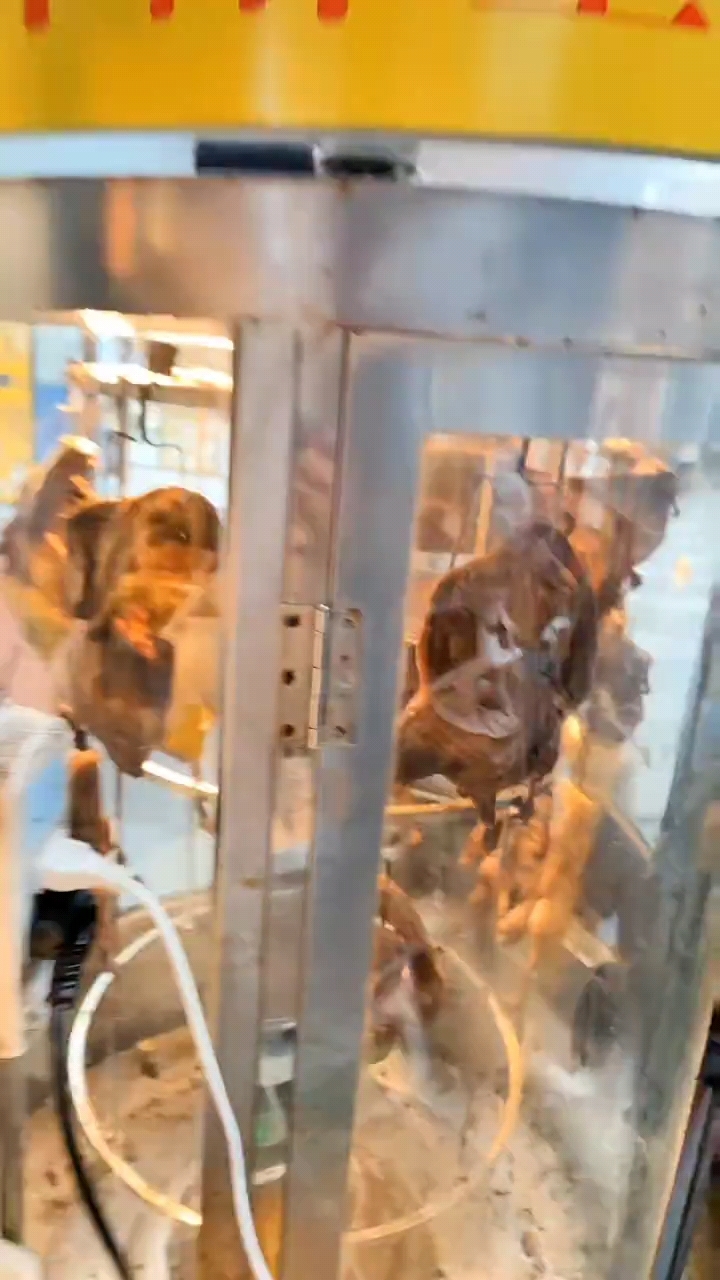 龙安的大伙们,下班路过美食街,一定要来武汉周记黑鸭卤味铺。